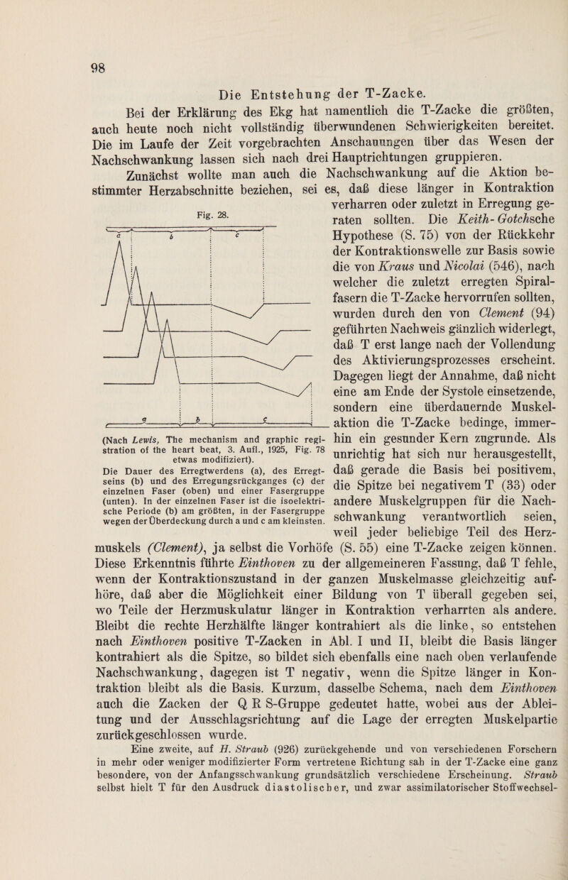 Fig. 28. Die Entstehung der T-Zacke. Bei der Erklärung des Ekg hat namentlich die T-Zacke die größten, auch heute noch nicht vollständig überwundenen Schwierigkeiten bereitet. Die im Laufe der Zeit vorgebrachten Anschauungen über das Wesen der Nachschwankung lassen sich nach drei Hauptrichtungen gruppieren. Zunächst wollte man auch die Nachschwankung auf die Aktion be¬ stimmter Herzabschnitte beziehen, sei es, daß diese länger in Kontraktion verharren oder zuletzt in Erregung ge¬ raten sollten. Die Keith- Gotchsohe Hypothese (S. 75) von der Rückkehr der Kontraktionsweile zur Basis sowie die von Kraus und Nicolai (546), nach welcher die zuletzt erregten Spiral¬ fasern die T-Zacke hervorrufen sollten, wurden durch den von Clement (94) geführten Nachweis gänzlich widerlegt, daß T erst lange nach der Vollendung des Aktivierungsprozesses erscheint. Dagegen liegt der Annahme, daß nicht eine am Ende der Systole einsetzende, sondern eine überdauernde Muskel¬ aktion die T-Zacke bedinge, immer- (Nach Lewis, The mechanism and graphic regi- hin ein gesunder Kern zugrunde. Als stration of the heart^ ^^3.^ Au«., 1925, Fig. 78 ^richtig hat sich nur herausgestellt, Die Dauer des Erregtwerdens (a), des Erregt- daß gerade die Basis bei positivem, seins (b) und des Erregungsrückganges (c) der j- cjnif7P Kpj r.pp’Qfivpm T (A3) ndpr einzelnen Faser (oben) und einer Fasergruppe üie öPllze 0ei negativem 1 (öö) Oder (unten). In der einzelnen Faser ist die isoelektri- andere Muskelgruppen für die Nach- sche Periode (b) am größten, in der Fasergruppe i i , ^ .i* i _ • wegen der Überdeckung durch a und c am kleinsten. Schwankung verantwOltlich Seien, weil jeder beliebige Teil des Herz¬ muskels (Clement), ja selbst die Vorhöfe (S. 55) eine T-Zacke zeigen können. Diese Erkenntnis führte Einthoven zu der allgemeineren Fassung, daß T fehle, wTenn der Kontraktionszustand in der ganzen Muskelmasse gleichzeitig auf¬ höre, daß aber die Möglichkeit einer Bildung von T überall gegeben sei, wo Teile der Herzmuskulatur länger in Kontraktion verharrten als andere. Bleibt die rechte Herzhälfte länger kontrahiert als die linke, so entstehen nach Einthoven positive T-Zacken in Abi. I und II, bleibt die Basis länger kontrahiert als die Spitze, so bildet sich ebenfalls eine nach oben verlaufende Nachschwankung, dagegen ist T negativ, wenn die Spitze länger in Kon¬ traktion bleibt als die Basis. Kurzum, dasselbe Schema, nach dem Einthoven auch die Zacken der Q R S-Gruppe gedeutet hatte, wobei aus der Ablei¬ tung und der Ausschlagsrichtung auf die Lage der erregten Muskelpartie zurückgeschlossen wurde. Eine zweite, auf H. Straub (926) zurückgehende und von verschiedenen Forschern in mehr oder weniger modifizierter Form vertretene Richtung sah in der T-Zacke eine ganz besondere, von der Anfangsschwankung grundsätzlich verschiedene Erscheinung. Straub selbst hielt T für den Ausdruck diastolischer, und zwar assimilatorischer Stoffwechsel-