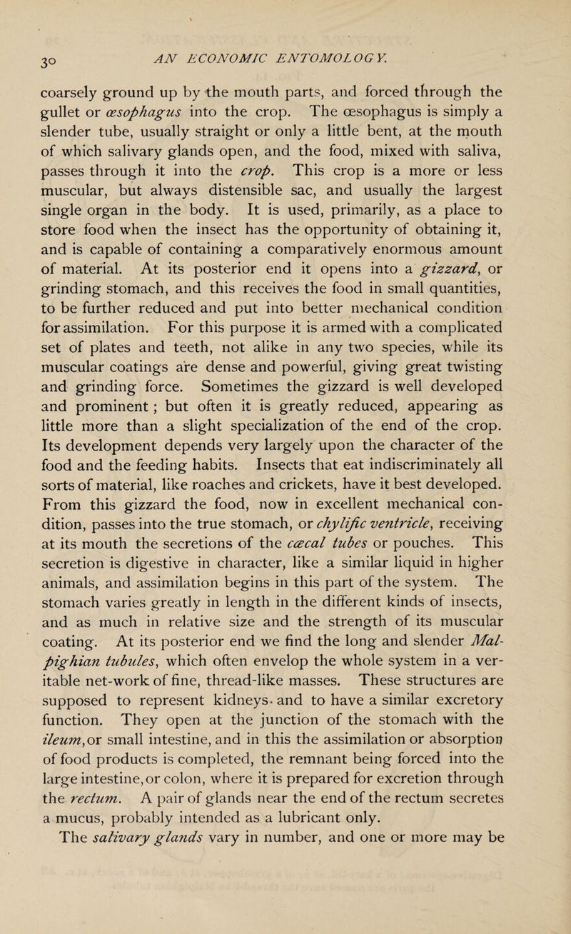 3° coarsely ground up by the mouth parts, and forced through the gullet or oesophagus into the crop. The oesophagus is simply a slender tube, usually straight or only a little bent, at the mouth of which salivary glands open, and the food, mixed with saliva, passes through it into the crop. This crop is a more or less muscular, but always distensible sac, and usually the largest single organ in the body. It is used, primarily, as a place to store food when the insect has the opportunity of obtaining it, and is capable of containing a comparatively enormous amount of material. At its posterior end it opens into a gizzard, or grinding stomach, and this receives the food in small quantities, to be further reduced and put into better mechanical condition for assimilation. For this purpose it is armed with a complicated set of plates and teeth, not alike in any two species, while its muscular coatings are dense and powerful, giving great twisting and grinding force. Sometimes the gizzard is well developed and prominent; but often it is greatly reduced, appearing as little more than a slight specialization of the end of the crop. Its development depends very largely upon the character of the food and the feeding habits. Insects that eat indiscriminately all sorts of material, like roaches and crickets, have it best developed. From this gizzard the food, now in excellent mechanical con¬ dition, passes into the true stomach, or chylific ventricle, receiving at its mouth the secretions of the ccvcal tubes or pouches. This secretion is digestive in character, like a similar liquid in higher animals, and assimilation begins in this part of the system. The stomach varies greatly in length in the different kinds of insects, and as much in relative size and the strength of its muscular coating. At its posterior end we find the long and slender Mal¬ pighian tubules, which often envelop the whole system in a ver¬ itable net-work of fine, thread-like masses. These structures are supposed to represent kidneys- and to have a similar excretory function. They open at the junction of the stomach with the ileum, or small intestine, and in this the assimilation or absorption of food products is completed, the remnant being forced into the large intestine, or colon, where it is prepared for excretion through the rectum. A pair of glands near the end of the rectum secretes a mucus, probably intended as a lubricant only. The salivary glands vary in number, and one or more may be