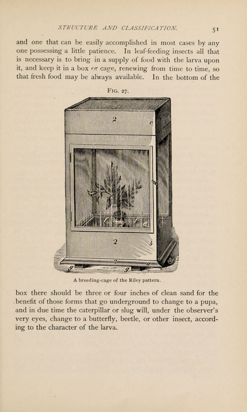 and one that can be easily accomplished in most cases by any one possessing a little patience. In leaf-feeding insects all that is necessary is to bring in a supply of food with the larva upon it, and keep it in a box or cage, renewing from time to time, so that fresh food may be always available. In the bottom of the Fig. 27. A breeding-cage of the Riley pattern. box there should be three or four inches of clean sand for the benefit of those forms that go underground to change to a pupa, and in due time the caterpillar or slug will, under the observer’s very eyes, change to a butterfly, beetle, or other insect, accord¬ ing to the character of the larva.
