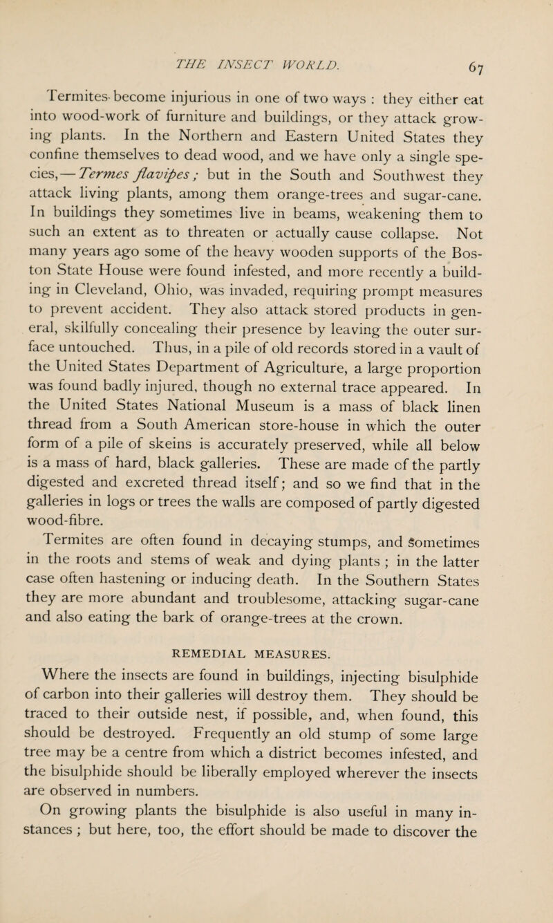 Termites-become injurious in one of two ways : they either eat into wood-work of furniture and buildings, or they attack grow¬ ing plants. In the Northern and Eastern United States they confine themselves to dead wood, and we have only a single spe¬ cies,— Termes flavipes; but in the South and Southwest they attack living plants, among them orange-trees and sugar-cane. In buildings they sometimes live in beams, weakening them to such an extent as to threaten or actually cause collapse. Not many years ago some of the heavy wooden supports of the Bos¬ ton State House were found infested, and more recently a build¬ ing in Cleveland, Ohio, was invaded, requiring prompt measures to prevent accident. They also attack stored products in gen¬ eral, skilfully concealing their presence by leaving the outer sur¬ face untouched. Thus, in a pile of old records stored in a vault of the United States Department of Agriculture, a large proportion was found badly injured, though no external trace appeared. In the United States National Museum is a mass of black linen thread from a South American store-house in which the outer form of a pile of skeins is accurately preserved, while all below is a mass of hard, black galleries. These are made of the partly digested and excreted thread itself; and so we find that in the galleries in logs or trees the walls are composed of partly digested wood-fibre. Termites are often found in decaying stumps, and Sometimes in the roots and stems of weak and dying plants ; in the latter case often hastening or inducing death. In the Southern States they are more abundant and troublesome, attacking sugar-cane and also eating the bark of orange-trees at the crown. REMEDIAL MEASURES. Where the insects are found in buildings, injecting bisulphide of carbon into their galleries will destroy them. They should be traced to their outside nest, if possible, and, when found, this should be destroyed. Frequently an old stump of some large tree may be a centre from which a district becomes infested, and the bisulphide should be liberally employed wherever the insects are observed in numbers. On growing plants the bisulphide is also useful in many in¬ stances ; but here, too, the effort should be made to discover the