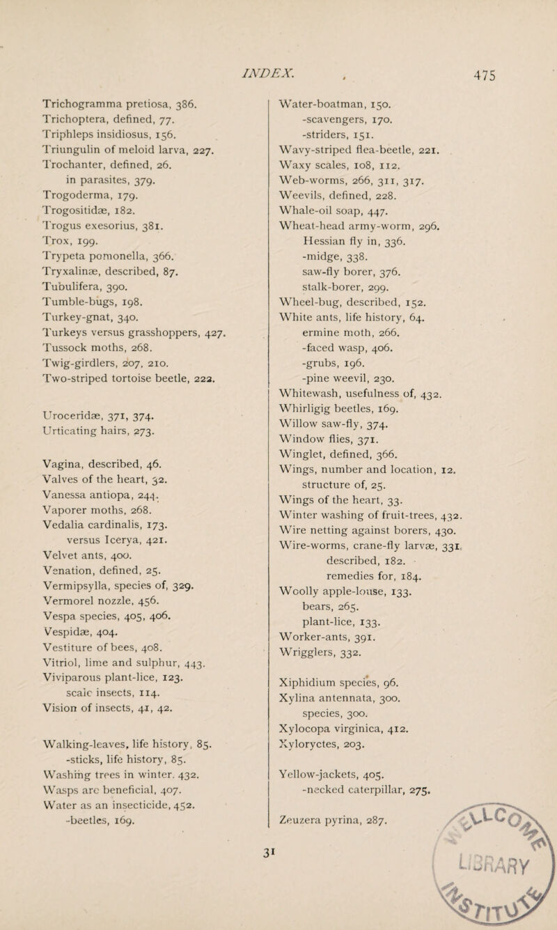 Trichogramma pretiosa, 386. Trichoptera, defined, 77. Triphleps insidiosus, 156. Triungulin of meloid larva, 227. Trochanter, defined, 26. in parasites, 379. Trogoderma, 179. Trogositidae, 182. Trogus exesorius, 381. Trox, 199. Trypeta pomonella, 366. Tryxalinae, described, 87. Tubulifera, 390. Tumble-bugs, 198. Turkey-gnat, 340. Turkeys versus grasshoppers, 427. Tussock moths, 268. Twig-girdlers, 207, 210. Two-striped tortoise beetle, 222. Uroceridae, 371, 374. Urticating hairs, 273. Vagina, described, 46. Valves of the heart, 32. Vanessa antiopa, 244. Vaporer moths, 268. Vedalia cardinalis, 173. versus Icerya, 421. Velvet ants, 400. Venation, defined, 25. Vermipsylla, species of, 329. Vermorel nozzle, 456. Vespa species, 405, 406. Vespidae, 404. Vestiture of bees, 408. Vitriol, lime and sulphur, 443. Viviparous plant-lice, 123. scale insects, 114. Vision of insects, 41, 42. Walking-leaves, life history, 85. -sticks, life history, 85. Washihg trees in winter. 432. Wasps are beneficial, 407. Water as an insecticide, 452. -beetles, 169. Water-boatman, 150. -scavengers, 170. -striders, 151. Wavy-striped flea-beetle, 221. Waxy scales, 108, 112. Web-worms, 266, 311, 317. Weevils, defined, 228. Whale-oil soap, 447. Wheat-head army-worm, 296. Hessian fly in, 336. -midge, 338. saw-fly borer, 376. stalk-borer, 299. Wheel-bug, described, 152, White ants, life history, 64. ermine moth, 266. -faced wasp, 406. -grubs, 196. -pine weevil, 230. Whitewash, usefulness of, 432. Whirligig beetles, 169. Willow saw-fly, 374. Window flies, 371. Winglet, defined, 366. Wings, number and location, 12. structure of, 25. Wings of the heart, 33. Winter washing of fruit-trees, 432. Wire netting against borers, 430. Wire-worms, crane-fly larvae, 331, described, 182. remedies for, 184. Woolly apple-louse, 133. bears, 265. plant-lice, 133. Worker-ants, 391. Wrigglers, 332. Xiphidium species, 96. Xylina antennata, 300. species, 300. Xylocopa virginica, 412. Xyloryctes, 203. Yellow-jackets, 405, -necked caterpillar, 275. Zeuzera pyrina, 287. 31