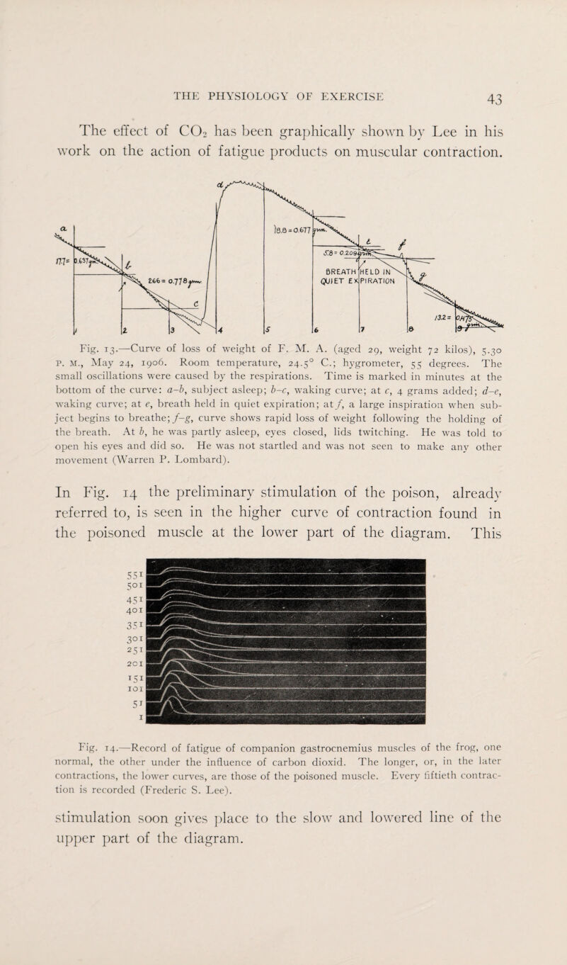 The effect of C02 has been graphically shown by Lee in his work on the action of fatigue products on muscular contraction. small oscillations were caused by the respirations. Time is marked in minutes at the bottom of the curve: a-b, subject asleep; b-c, wmking curve; at c, 4 grams added; d-e, waking curve; at e, breath held in quiet expiration; at /, a large inspiration when sub¬ ject begins to breathe;/-g, curve shows rapid loss of weight following the holding of the breath. At b, he was partly asleep, eyes closed, lids twitching. He was told to open his eyes and did so. He was not startled and was not seen to make any other movement (Warren P. Lombard). In Fig. 14 the preliminary stimulation of the poison, already referred to, is seen in the higher curve of contraction found in the poisoned muscle at the lower part of the diagram. This Fig. 14.—Record of fatigue of companion gastrocnemius muscles of the frog, one normal, the other under the influence of carbon dioxid. The longer, or, in the later contractions, the lower curves, are those of the poisoned muscle. Every fiftieth contrac¬ tion is recorded (Frederic S. Lee). stimulation soon gives place to the slow and lowered line of the upper part of the diagram.
