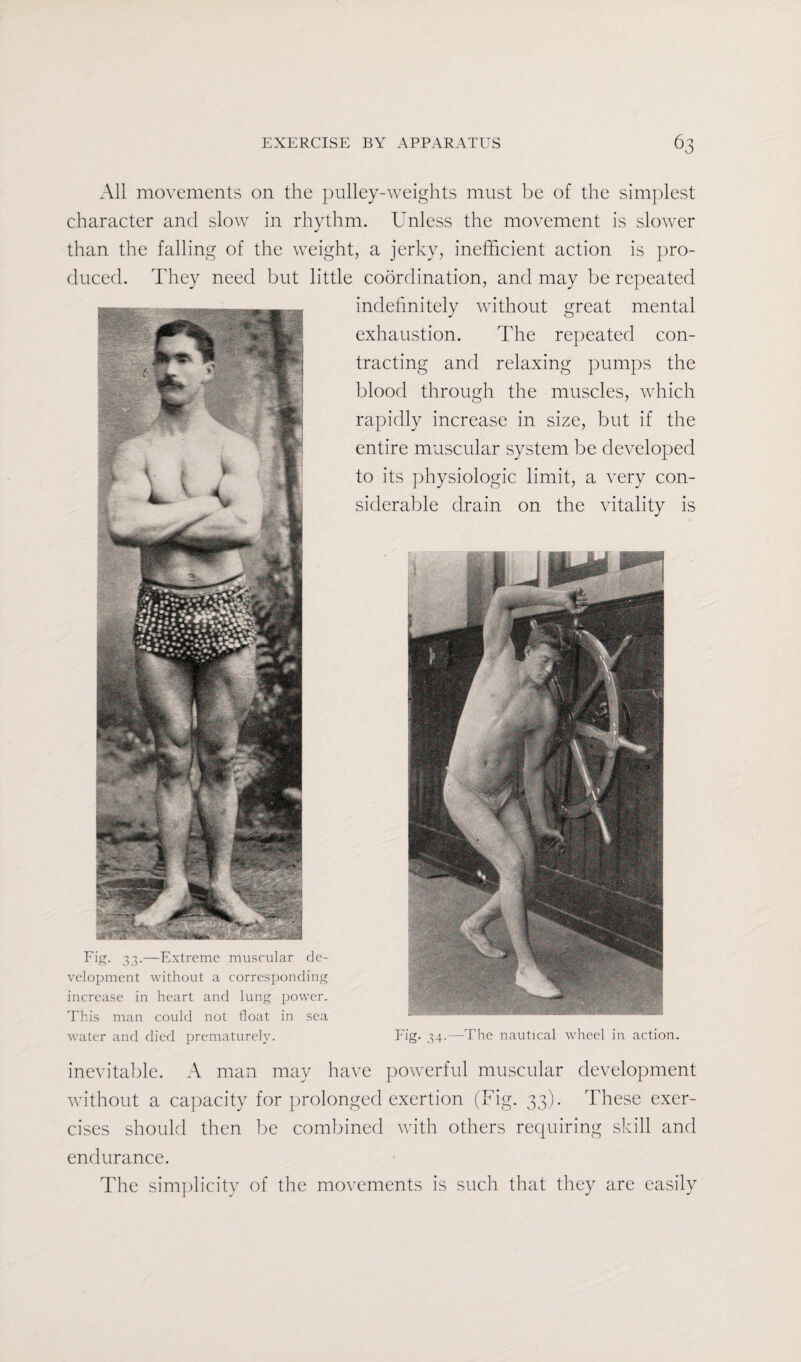 All movements on the pulley-weights must be of the simplest character and slow in rhythm. Unless the movement is slower than the falling of the weight, a jerky, inefficient action is pro¬ duced. They need but little coordination, and may be repeated indefinitely without great mental exhaustion. The repeated con¬ tracting and relaxing pumps the blood through the muscles, which rapidly increase in size, but if the entire muscular system be developed to its physiologic limit, a very con¬ siderable drain on the vitality is Fig. 33.—Extreme muscular de¬ velopment without a corresponding increase in heart and lung power. This man could not float in sea water and died prematurely. Fig. 34.—The nautical wheel in action. inevitable. A man may have powerful muscular development without a capacity for prolonged exertion (Fig. 33). These exer¬ cises should then be combined with others requiring skill and endurance. The simplicity of the movements is such that they are easily