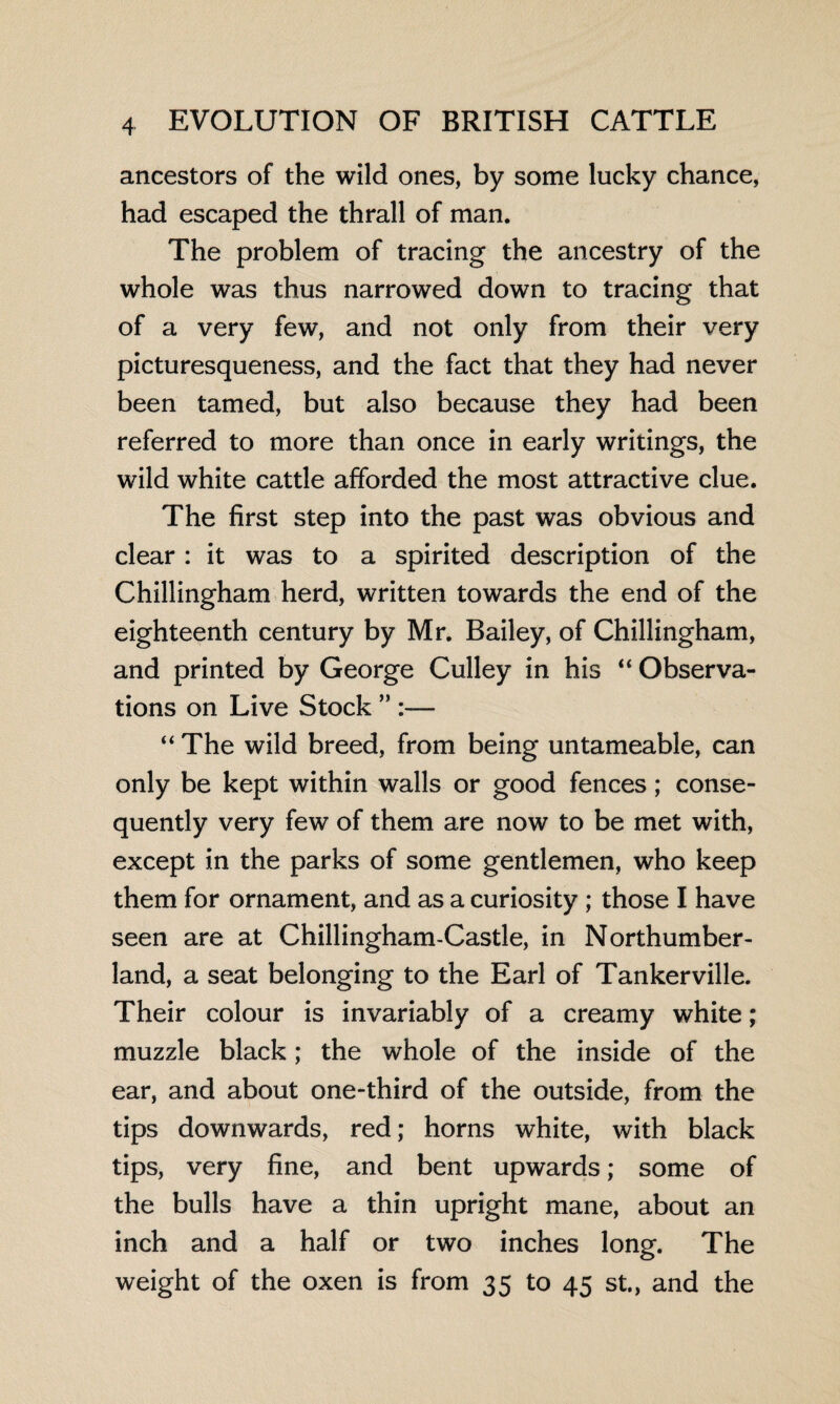 ancestors of the wild ones, by some lucky chance, had escaped the thrall of man. The problem of tracing the ancestry of the whole was thus narrowed down to tracing that of a very few, and not only from their very picturesqueness, and the fact that they had never been tamed, but also because they had been referred to more than once in early writings, the wild white cattle afforded the most attractive clue. The first step into the past was obvious and clear : it was to a spirited description of the Chillingham herd, written towards the end of the eighteenth century by Mr. Bailey, of Chillingham, and printed by George Culley in his “ Observa¬ tions on Live Stock ” :— “ The wild breed, from being untameable, can only be kept within walls or good fences; conse¬ quently very few of them are now to be met with, except in the parks of some gentlemen, who keep them for ornament, and as a curiosity ; those I have seen are at Chillingham-Castle, in Northumber¬ land, a seat belonging to the Earl of Tankerville. Their colour is invariably of a creamy white; muzzle black; the whole of the inside of the ear, and about one-third of the outside, from the tips downwards, red; horns white, with black tips, very fine, and bent upwards; some of the bulls have a thin upright mane, about an inch and a half or two inches long. The weight of the oxen is from 35 to 45 st., and the