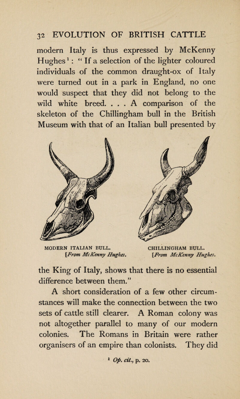 modern Italy is thus expressed by McKenny Hughes1: “ If a selection of the lighter coloured individuals of the common draught-ox of Italy were turned out in a park in England, no one would suspect that they did not belong to the wild white breed. ... A comparison of the skeleton of the Chillingham bull in the British Museum with that of an Italian bull presented by MODERN ITALIAN BULL. CHILLINGHAM BULL. [From McKenny Hughes. [From McKenny Hughes. the King of Italy, shows that there is no essential difference between them.” A short consideration of a few other circum¬ stances will make the connection between the two sets of cattle still clearer. A Roman colony was not altogether parallel to many of our modern colonies. The Romans in Britain were rather organisers of an empire than colonists. They did 1 Op. Cit.y p. 20.