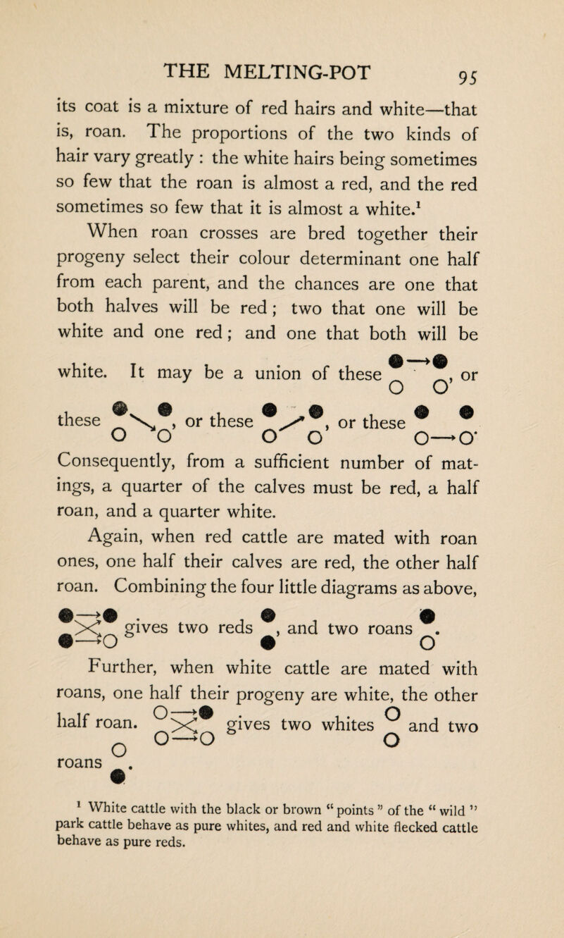 its coat is a mixture of red hairs and white—that is, roan. The proportions of the two kinds of hair vary greatly : the white hairs being sometimes so few that the roan is almost a red, and the red sometimes so few that it is almost a white.1 When roan crosses are bred together their progeny select their colour determinant one half from each parent, and the chances are one that both halves will be red ; two that one will be white and one red; and one that both will be white. It may be a union of these O O’ or these or these or these ® * o o o o 0—0* Consequently, from a sufficient number of mat¬ ings, a quarter of the calves must be red, a half roan, and a quarter white. Again, when red cattle are mated with roan ones, one half their calves are red, the other half roan. Combining the four little diagrams as above, Cx! gives two reds , and two roans . @—>0 • O Further, when white cattle are mated with roans, one half their progeny are white, the other half roan. gives two whites ^ and two O ° ° ~ roans O 1 White cattle with the black or brown “ points ” of the “ wild ” park cattle behave as pure whites, and red and white flecked cattle behave as pure reds.
