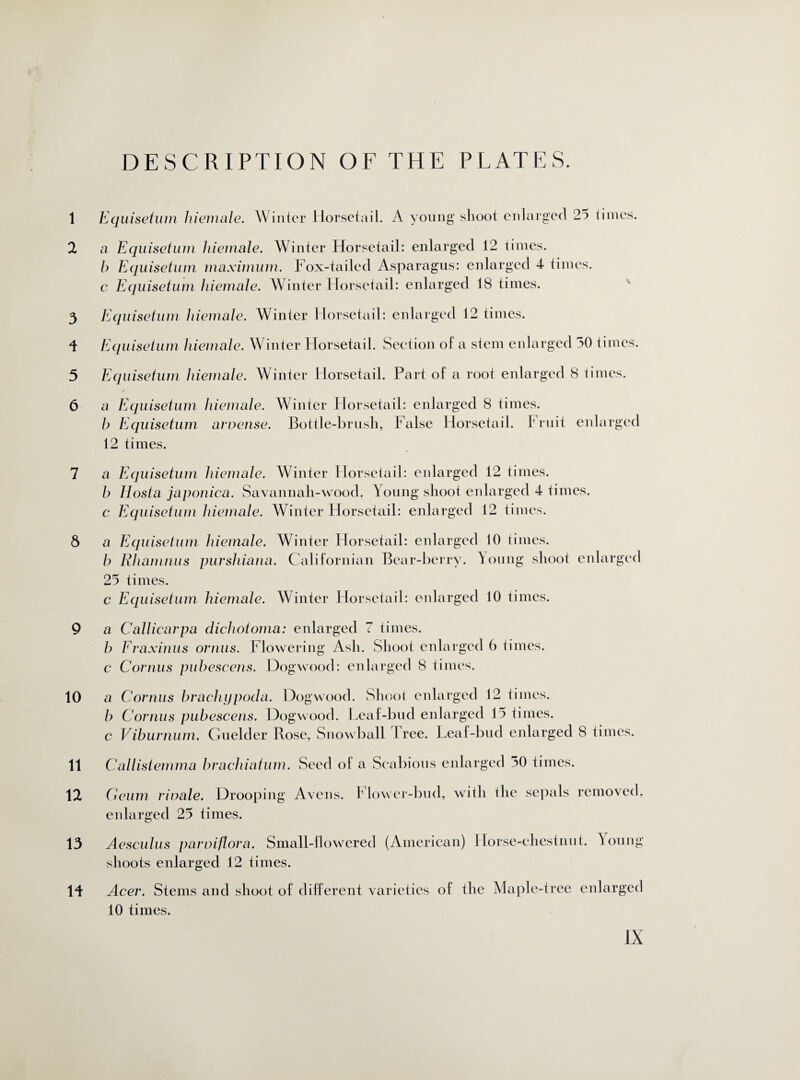 DESCRIPTION OF THE PLATES. 1 2 3 d 5 6 7 8 9 10 11 12 13 14 Equisetum hiemale. Winter Horsetail. A young shoot enlarged 25 times. a Equisetum hiemale. Winter Horsetail: enlarged 12 times. b Equisetum maximum. Fox-tailed Asparagus: enlarged 4 times. c Equisetum hiemale. Winter Horsetail: enlarged 18 times. Equisetum hiemale. Winter Horsetail: enlarged 12 times. Equisetum hiemale. W inter Horsetail. Section of a stem enlarged 50 times. Equisetum hiemale. Winter Horsetail. Part of a root enlarged 8 times. a Equisetum hiemale. Winter Horsetail: enlarged 8 times. b Equisetum arvense. Bottle-brusli, False Horsetail. Fruit enlarged 12 times. a Equisetum hiemale. Winter Horsetail: enlarged 12 times. b Hosta japonica. Savannah-wood, Young shoot enlarged 4 times. e Equisetum hiemale. Winter Horsetail: enlarged 12 times. a Equisetum hiemale. Winter Horsetail: enlarged 10 times. b Rhamnus purshiana. Californian Bear-berry. Young shoot 25 times. c Equisetum hiemale. Winter Horsetail: enlarged 10 times. enlarged a Callicarpa dichotoma: enlarged 7 times. b Eraxinus ornus. Flowering Ash. Shoot enlarged 6 times. c Cornus pubescens. Dogwood: enlarged 8 times. a Cornus brachijpoda. Dogwood. Shoot enlarged 12 times. b Cornus pubescens. Dogwood. Leaf-bud enlarged 15 times. c Viburnum. Guelder Rose, Snowball free. Leaf-bud enlarged 8 times. Callistemma brachiatum. Seed of a Scabious enlarged 30 times. Geum rioale. Drooping Avens. V lower-bud, with the sepals removed, enlarged 25 times. Aesculus par Diflora. Small-flowered (American) Horse-chestnut. Iroung shoots enlarged 12 times. Acer. Stems and shoot of different varieties of the Maple-tree enlarged 10 times.