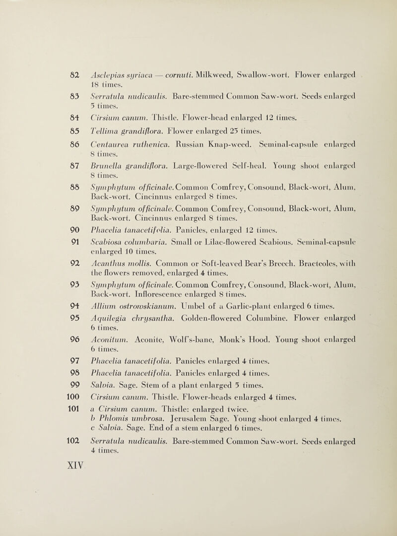 62 63 64 63 66 67 66 69 90 91 92 93 94 95 96 97 96 99 100 101 102 Asclepias syriaca — cornuti. Milkweed, Swallow-wort. Flower enlarged 18 times. Serratula nudicaulis. Bare-stemmed Common Saw-wort. Seeds enlarged 5 times. Cirsium canum. Thistle. Flower-liead enlarged 12 times. Tellima grandiflora. Flower enlarged 25 times. Centaurea rutlienica. Russian Knap-weed. Seminal-capsule enlarged 8 times. Brunella grandiflora. Large-flowered Self-heal. Young shoot enlarged 8 times. Symphytum officinale. Common Comfrey, Consound, Black-wort, Alum, Back-wort. Cincinnus enlarged 8 times. Symphytum officinale. Common Comfrey, Consound, Black-wort, Alum, Back-wort. Cincinnus enlarged 8 times. Phacelia tanacetifolia. Panicles, enlarged 12 times. Scahiosa columbaria. Small or Lilac-flowered Scabious. Seminal-capsule enlarged 10 times. Acanthus mollis. Common or Soft-leaved Bear’s Breech. Bracteoles, with the flowers removed, enlarged 4 times. Symphytum officinale. Common Comfrey, Consound, Black-wort, Alum, Back-wort. Inflorescence enlarged 8 times. Allium ostromskianum. LTmbel of a Garlic-plant enlarged 6 times. Aquilegia chrysantha. Golden-flowered Columbine. Flower enlarged 6 times. Aconitum. Aconite, Wolf’s-bane, Monk’s Hood. Young shoot enlarged 6 times. Phacelia tanacetifolia. Panicles enlarged 4 times. Phacelia tanacetifolia. Panicles enlarged 4 times. Saloia. Sage. Stem of a plant enlarged 5 times. Cirsium canum. Thistle. Flower-heads enlarged 4 times. a Ci rsium canum. Thistle: enlarged twice. b Phlomis umbrosa. Jerusalem Sage. Young shoot enlarged 4 times. c Saloia. Sage. End of a stem enlarged 6 times. Serratula nudicaulis. Bare-stemmed Common Saw-wort. Seeds enlarged 4 times.