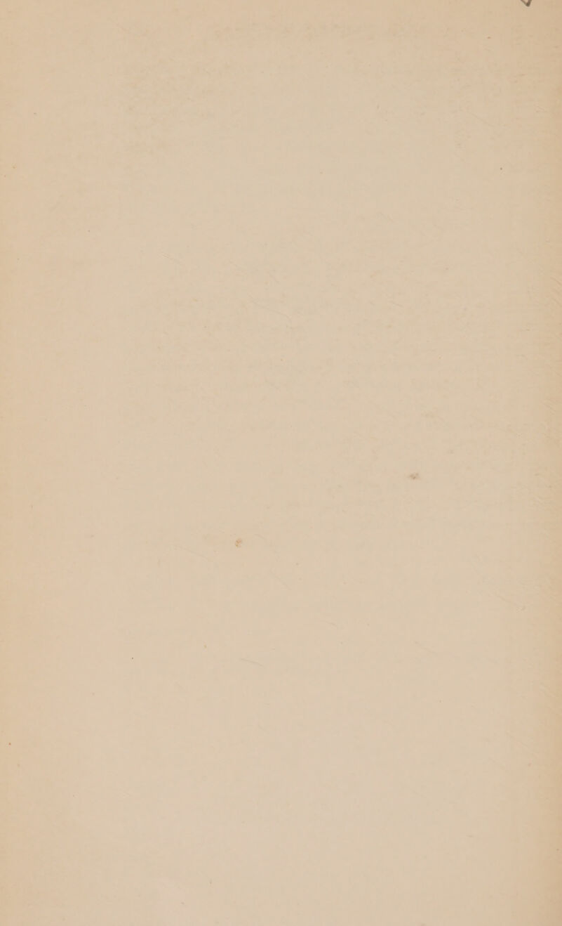 ~~ Ls x a hy ; oh cap — @ ents