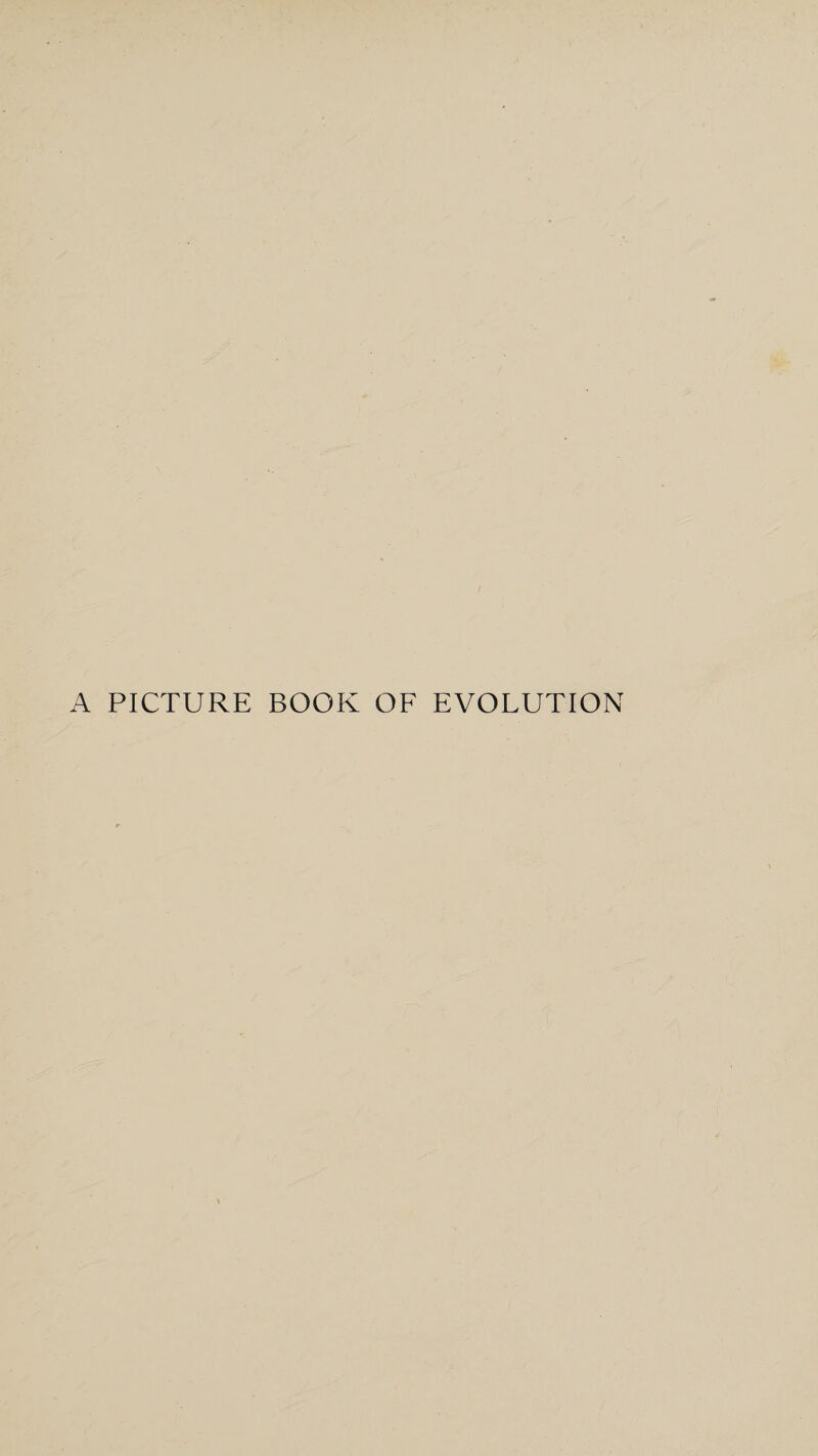 A PICTURE BOOK OF EVOLUTION