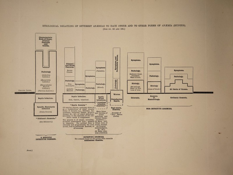 ETIOLOGICAL RELATIONS OF SEVEREST ANJEMIAS TO EACH OTHER (StfE PP. 63 AND 186.) Ground Level. Characteristic Mode of Onset, Clinical Features and Course. Pathology (Infective Lesions.) (Haemolytic Lesions.) (Hyperplastic Marrow Lesions.) (Nervous Lesions.) Septic Infection. Specific Haemolytic Infection (Drain Source). “Addison’s Anaemia.” (See Scheme 2.) A SPECIFIC INFECTIVE DISEASE. ClinicalT and Blood; Features.’ Severe Course. Pathology. Non- haemolytic Aplastic Marrow. Symptoms. Pathology. Symptoms. Pathology. Septic Infection. Oral, Gastric, Intestinal. Symptoms (Variable). Pathology. (Mixed). Septic Mixed Infections. “Septic Anaemia” Of varying degrees, occurring alone or as a complication of other simpler forms of anaemia—e.g., chlorosis, hae¬ morrhage, malignant disease, Bright’s disease, &c., &c.—of mixed pathology, according to the character of the con¬ dition which it complicates. The anaemia is of simple, secondary, so-called normoblastic type; aplastic in character. The severest form is clinically and prognostically the most severe, next to Addisonian Anaemia, of all anaemias. 7 “Intestinal Infective ! Anaemias.” * Many forms and varieties of mixed pathology and clinical charac¬ terization (1) Many indi¬ vidual cases of severe anaemia. (2) Tropical anaemias (sprue, &c., &c.). (3) Many Anae¬ mias of children Worms. Putrefactive Sepsis. Tape-worm. Anaemia. Anaemias of “ Dirt ” Eaters (India). INFECTIVE ANvEMIAS. The severest forms of this group often resemble Addisonian Anaemia. Front.] AND TO OTHER FORMS OF ANiEMIA (HUNTER). Anaemia Chlorosis. of Ordinary Anaemia. Haemorrhage. NON-INFECTIVE ANAEMIAS.