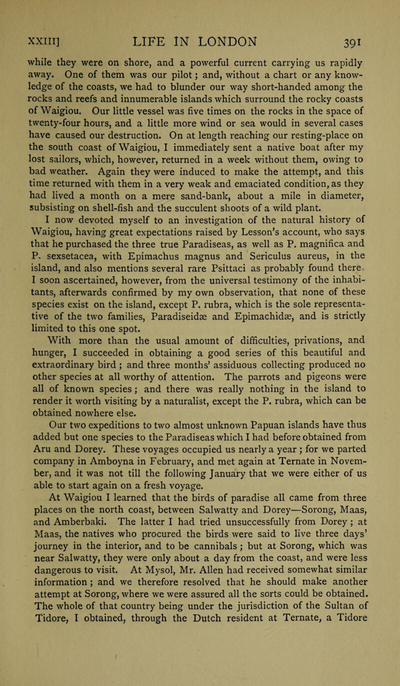 while they were on shore, and a powerful current carrying us rapidly away. One of them was our pilot; and, without a chart or any know¬ ledge of the coasts, we had to blunder our way short-handed among the rocks and reefs and innumerable islands which surround the rocky coasts of Waigiou. Our little vessel was five times on the rocks in the space of twenty-four hours, and a little more wind or sea would in several cases have caused our destruction. On at length reaching our resting-place on the south coast of Waigiou, I immediately sent a native boat after my lost sailors, which, however, returned in a week without them, owing to bad weather. Again they were induced to make the attempt, and this time returned with them in a very weak and emaciated condition, as they had lived a month on a mere sand-bank, about a mile in diameter, subsisting on shell-fish and the succulent shoots of a wild plant. I now devoted myself to an investigation of the natural history of Waigiou, having great expectations raised by Lesson’s account, who says that he purchased the three true Paradiseas, as well as P. magnifica and P. sexsetacea, with Epimachus magnus and Sericulus aureus, in the island, and also mentions several rare Psittaci as probably found there I soon ascertained, however, from the universal testimony of the inhabi¬ tants, afterwards confirmed by my own observation, that none of these species exist on the island, except P. rubra, which is the sole representa¬ tive of the two families, Paradiseidae and Epimachidae, and is strictly limited to this one spot. With more than the usual amount of difficulties, privations, and hunger, I succeeded in obtaining a good series of this beautiful and extraordinary bird ; and three months’ assiduous collecting produced no other species at all worthy of attention. The parrots and pigeons were all of known species ; and there was really nothing in the island to render it worth visiting by a naturalist, except the P. rubra, which can be obtained nowhere else. Our two expeditions to two almost unknown Papuan islands have thus added but one species to the Paradiseas which I had before obtained from Aru and Dorey. These voyages occupied us nearly a year ; for we parted company in Amboyna in February, and met again at Ternate in Novem¬ ber, and it was not till the following January that we were either of us able to start again on a fresh voyage. At Waigiou I learned that the birds of paradise all came from three places on the north coast, between Salwatty and Dorey—Sorong, Maas, and Amberbaki. The latter I had tried unsuccessfully from Dorey; at Maas, the natives who procured the birds were said to live three days’ journey in the interior, and to be cannibals ; but at Sorong, which was near Salwatty, they were only about a day from the coast, and were less dangerous to visit. At Mysol, Mr. Allen had received somewhat similar information ; and we therefore resolved that he should make another attempt at Sorong, where we were assured all the sorts could be obtained. The whole of that country being under the jurisdiction of the Sultan of Tidore, I obtained, through the Dutch resident at Ternate, a Tidore t