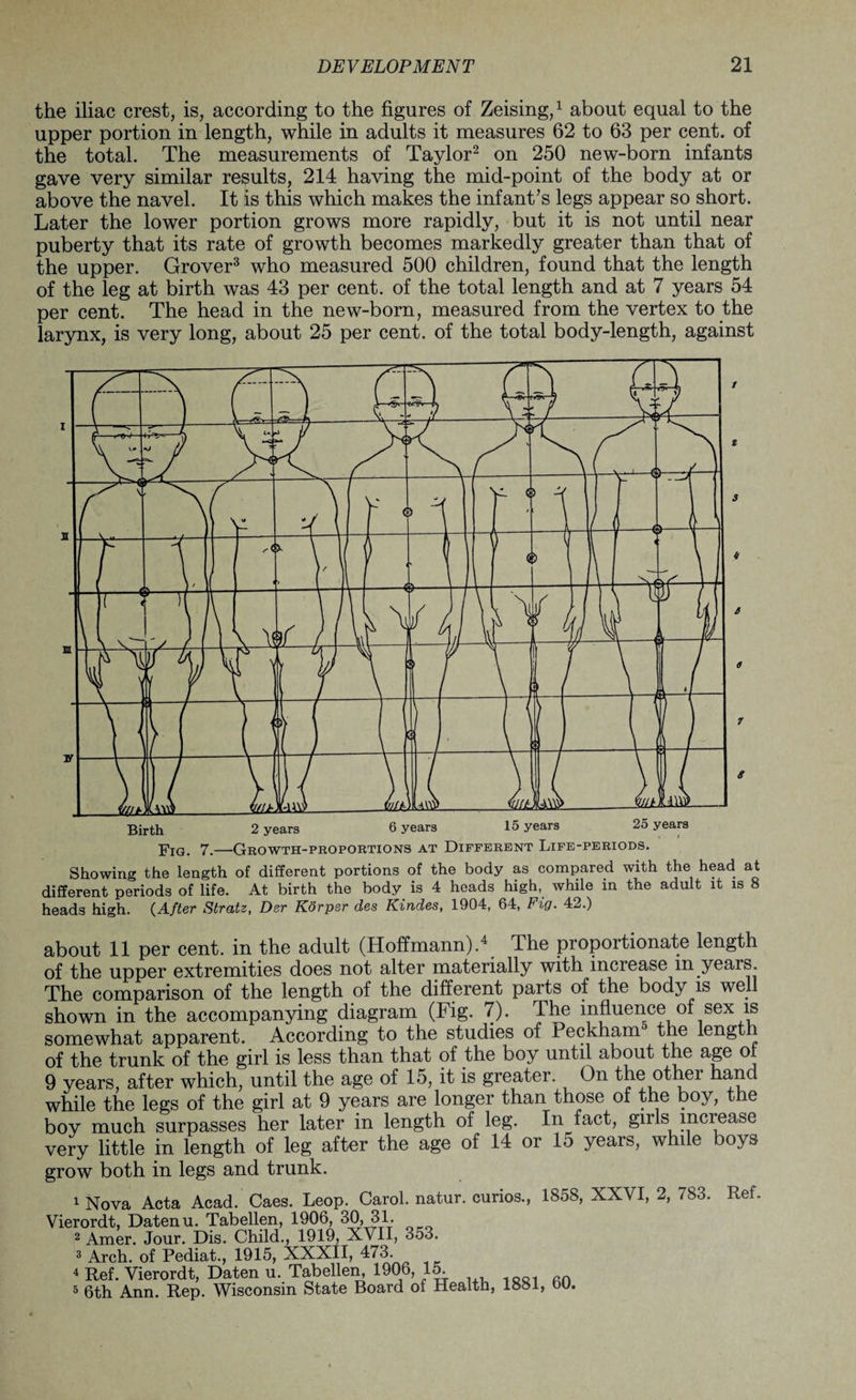 the iliac crest, is, according to the figures of Zeising,1 about equal to the upper portion in length, while in adults it measures 62 to 63 per cent, of the total. The measurements of Taylor2 on 250 new-born infants gave very similar results, 214 having the mid-point of the body at or above the navel. It is this which makes the infant’s legs appear so short. Later the lower portion grows more rapidly, but it is not until near puberty that its rate of growth becomes markedly greater than that of the upper. Grover3 who measured 500 children, found that the length of the leg at birth was 43 per cent, of the total length and at 7 years 54 per cent. The head in the new-born, measured from the vertex to the larynx, is very long, about 25 per cent, of the total body-length, against about 11 per cent, in the adult (Hoffmann).4 The proportionate length of the upper extremities does not alter materially with increase in years. The comparison of the length of the different parts of the body is well shown in the accompanying diagram (Fig. 7). The influence of sex is somewhat apparent. According to the studies of Peckham the lengt of the trunk of the girl is less than that of the boy until about the age of 9 years, after which, until the age of 15, it is greater. On the other hand while the legs of the girl at 9 years are longer than those of the boy, the boy much surpasses her later in length of leg. In fact, girls increase very little in length of leg after the age of 14 or 15 years, while boys grow both in legs and trunk. 1 Nova Acta Acad. Caes. Leop. Carol, natur. curios., 1858, XXVI, 2, 783. Vierordt, Datenu. Tabellen, 1906, 30, 31. 3 Arch, of Pediat., 1915, XXXII, 473. 4 Ref. Vierordt, Daten u. Tabellen, 1906, 15. 5 6th Ann. Rep. Wisconsin State Board of Health, 1881, bU.