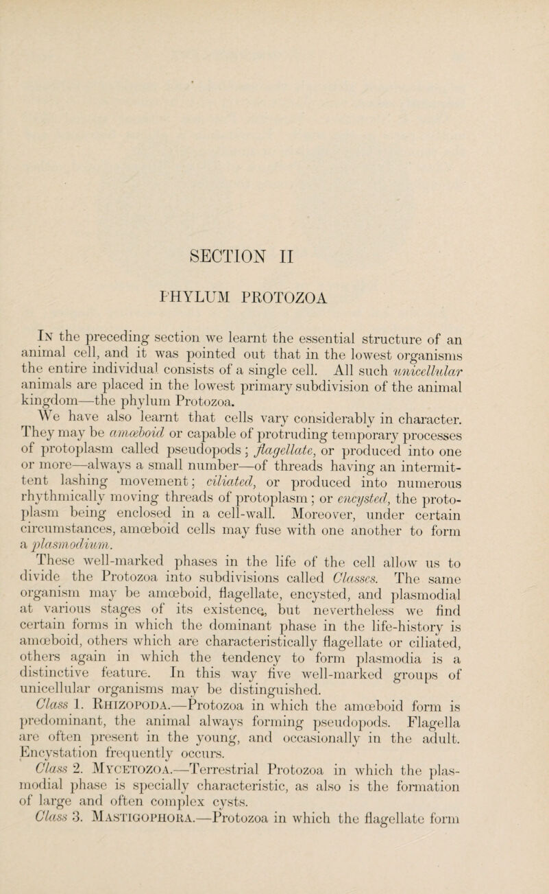 PHYLUM PROTOZOA In the preceding section we learnt the essential structure of an animal cell, and it was pointed out that in the lowest organisms the entire individual consists of a single cell. All such unicellular animals are placed in the lowest primary subdivision of the animal kingdom—the phylum Protozoa. We have also learnt that cells vary considerably in character. They may be amoeboid or capable of protruding temporary processes of protoplasm called pseudopods; flagellate, or produced into one or more—always a small number—of threads having an intermit¬ tent lashing movement; ciliated, or produced into numerous rhythmically moving threads of protoplasm; or encysted, the proto¬ plasm being enclosed in a cell-wall. Moreover, under certain circumstances, amoeboid cells may fuse with one another to form a plasmoclium. These well-marked phases in the life of the cell allow us to divide the Protozoa into subdivisions called Classes. The same organism may be amoeboid, flagellate, encysted, and plasmodial at various stages of its existence, but nevertheless we find certain forms in which the dominant phase in the life-history is amoeboid, others which are characteristically flagellate or ciliated, others again in which the tendency to form plasmodia is a distinctive feature. In this way five well-marked groups of unicellular organisms may be distinguished. Class 1. Rhizopoda.—Protozoa in which the amoeboid form is predominant, the animal always forming pseudopods. Flagella are often present in the young, and occasionally in the adult. Encystation frequently occurs. Class 2. MycetozoA.—Terrestrial Protozoa in which the plas¬ modial phase is specially characteristic, as also is the formation of large and often complex cysts. Class 3. Mastigophora.—Protozoa in which the flagellate form