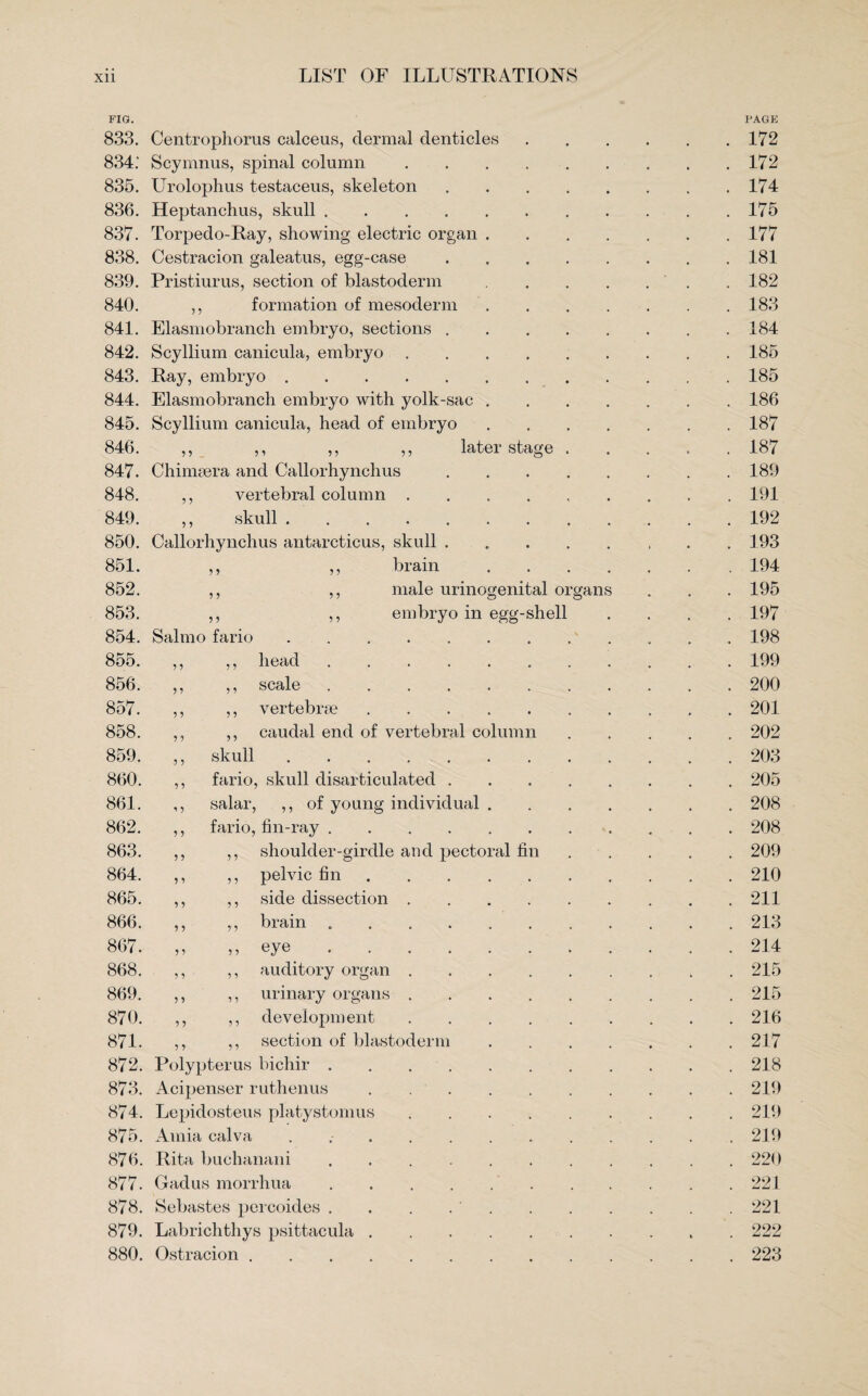 FIG. 833. Centrophorus calceus, dermal denticles 834. ‘ Scymnus, spinal column. 835. Urolophus testaceus, skeleton. 836. Heptanchus, skull. 837. Torpedo-Ray, showing electric organ .... 838. Cestracion galeatus, egg-case. 839. Pristiurus, section of blastoderm .... 840. ,, formation of mesoderm . . . . 841. Elasmobranch embryo, sections. 842. Scyllium canicula, embryo. 843. Ray, embryo. 844. Elasmobranch embryo with yolk-sac .... 845. Scyllium canicula, head of embryo .... 846. ,, ,, ,, ,, later stage . 847. Chimsera and Callorhynchus. 848. ,, vertebral column ...... 849. ,, skull . 850. Callorhynchus antarcticus, skull. 851. ,, ,, brain . . . . 852. ,, ,, male urinogenital organs 853. ,, ,, embryo in egg-shell 854. Salmo fario. 855. 9 9 ,, head. 856. 9 9 ,, scale. 857. 9 9 ,, vertebrae. 858. 9 9 ,, caudal end of vertebral column 859. 9 9 skull. 860. 9 9 fario, skull disarticulated . 861. i 9 salar, ,, of young individual . 862. 9 9 fario, fin-ray. 863. 9 9 ,, shoulder-girdle and pectoral fin 864. 9 9 ,, pelvic fin. 865. 9 9 ,, side dissection .... 866. 9 9 ,, brain. 867. 9 9 „ eye . 868. 9 9 ,, auditory organ .... 869. 9 9 ,, urinary organs .... 9 9 9 9 9 9 development section of blastoderm 872. Polypterus bichir . 873. Acipenser ruthenus 874. Lepidosteus platystomus 875. Amia calva 876. Rita buchanani 877. Gadus morrhua 870. 871. 878. Sebastes percoides . 879. Labrichthys psittacula . 880. Ostracion . . . . PAGE 172 172 174 175 177 181 182 183 184 185 185 186 187 187 189 191 192 193 194 195 197 198 199 200 201 202 203 205 208 208 209 210 211 213 214 215 215 216 217 218 219 219 219 220 221 221 222 223