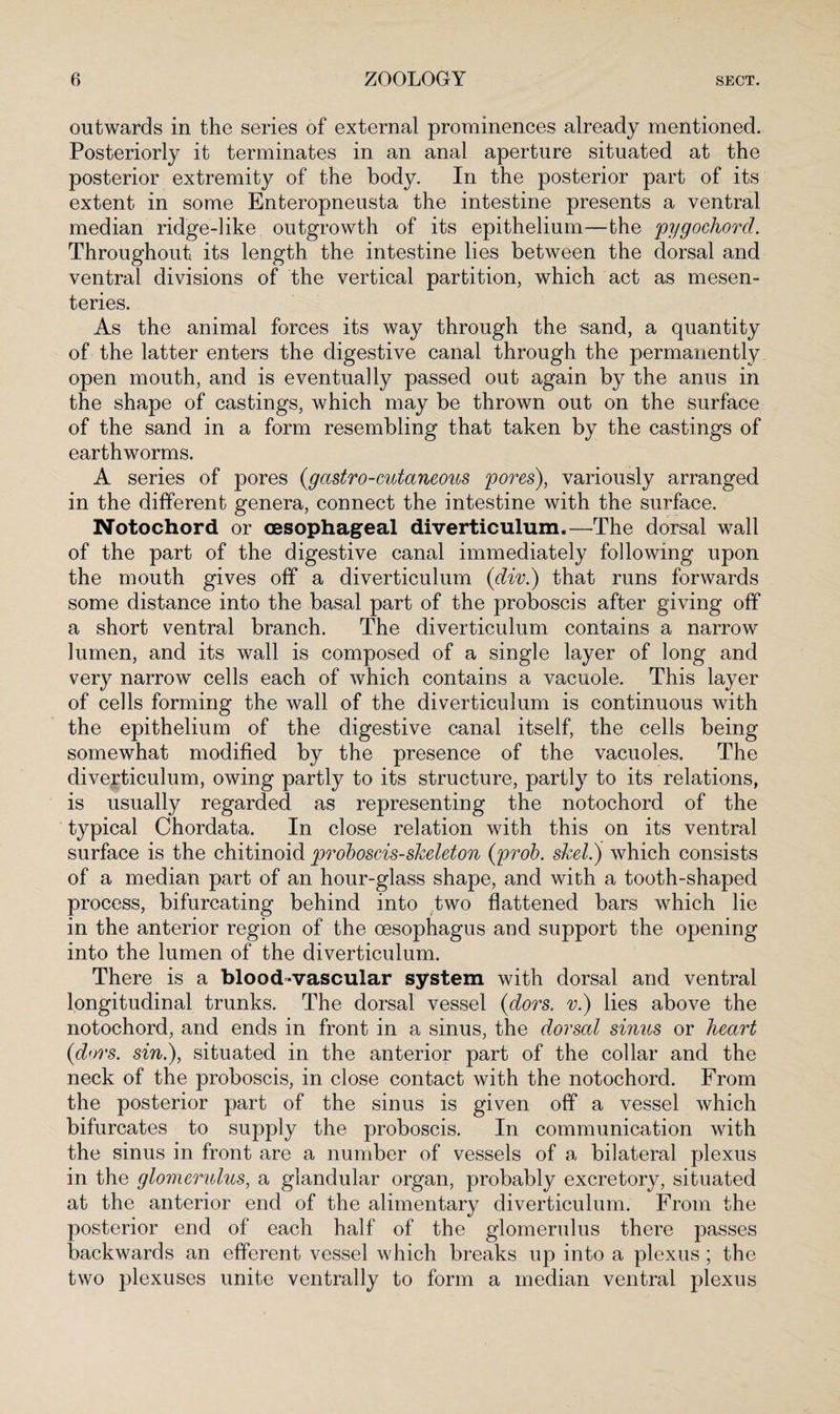 outwards in the series of external prominences already mentioned. Posteriorly it terminates in an anal aperture situated at the posterior extremity of the body. In the posterior part of its extent in some Enteropneusta the intestine presents a ventral median ridge-like outgrowth of its epithelium—the pygochord. Throughout its length the intestine lies between the dorsal and ventral divisions of the vertical partition, which act as mesen¬ teries. As the animal forces its way through the sand, a quantity of the latter enters the digestive canal through the permanently open mouth, and is eventually passed out again by the anus in the shape of castings, which may be thrown out on the surface of the sand in a form resembling that taken by the castings of earthworms. A series of pores (tgastro-cutaneous pores), variously arranged in the different genera, connect the intestine with the surface. Notochord or oesophageal diverticulum.—The dorsal wall of the part of the digestive canal immediately following upon the mouth gives off a diverticulum (div.) that runs forwards some distance into the basal part of the proboscis after giving off a short ventral branch. The diverticulum contains a narrow lumen, and its wall is composed of a single layer of long and very narrow cells each of which contains a vacuole. This layer of cells forming the wall of the diverticulum is continuous with the epithelium of the digestive canal itself, the cells being somewhat modified by the presence of the vacuoles. The diverticulum, owing partly to its structure, partly to its relations, is usually regarded as representing the notochord of the typical Chordata. In close relation with this on its ventral surface is the chitinoid ‘proboscis-skeleton (prob. skel.) which consists of a median part of an hour-glass shape, and with a tooth-shaped process, bifurcating behind into two flattened bars which lie in the anterior region of the oesophagus and support the opening into the lumen of the diverticulum. There is a blood-vascular system with dorsal and ventral longitudinal trunks. The dorsal vessel {dors, v.) lies above the notochord, and ends in front in a sinus, the dorsal sinus or hea,rt (dors, sin.), situated in the anterior part of the collar and the neck of the proboscis, in close contact with the notochord. From the posterior part of the sinus is given off a vessel which bifurcates to supply the proboscis. In communication with the sinus in front are a number of vessels of a bilateral plexus in the glomerulus, a glandular organ, probably excretory, situated at the anterior end of the alimentary diverticulum. From the posterior end of each half of the glomerulus there passes backwards an efferent vessel which breaks up into a plexus ; the two plexuses unite ventrally to form a median ventral plexus