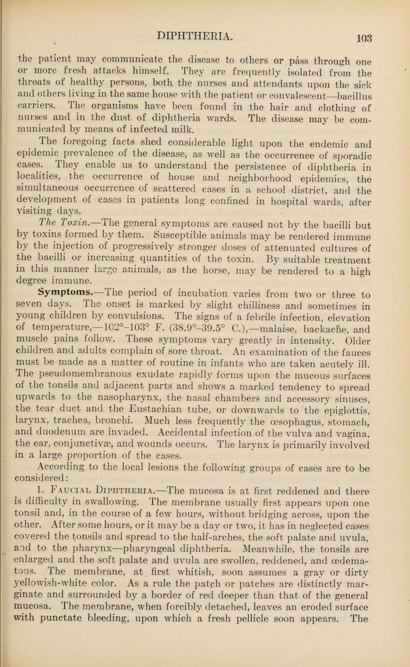 the patient may communicate the disease to others or pass through one or more fresh attacks himself. They are frequently isolated from the throats of healthy persons, both the nurses and attendants upon the sick and others living in the same house with the patient or convalescent_bacillus carriers. The organisms have been found in the hair and clothing of nurses and in the dust of diphtheria wards. The disease may be com¬ municated by means of infected milk. The foregoing facts shed considerable light upon the endemic and epidemic pievalence of the disease, as well as the occurrence of sporadic cases. They enable us to understand the persistence of diphtheria in localities, the occurrence of house and neighborhood epidemics, the simultaneous occurrence of scattered cases in a school district, and the development of cases in patients long confined in hospital wards, after visiting days. The Toxin— The general symptoms are caused not by the bacilli but by toxins formed by them. Susceptible animals may be rendered immune by the injection of progressively stronger doses of attenuated cultures of the bacilli or increasing quantities of the toxin. By suitable treatment in this manner large animals, as the horse, may be rendered to a high degree immune. Symptoms, ihe period of incubation varies from two or three to seven days. The onset is marked by slight chilliness and sometimes in young children by convulsions. The signs of a febrile infection, elevation of temperature,—102°-103° F. (38.9°-39.5° C.),—malaise, backache, and muscle pains follow. These symptoms vary greatly in intensity. Older children and adults complain of sore throat. An examination of the fauces must be made as a matter of routine in infants who are taken acutely ill. The pseudomembranous exudate rapidly forms upon the mucous surfaces of the tonsils and adjacent parts and shows a marked tendency to spread upwards to the nasopharynx, the nasal chambers and accessory sinuses, the tear duct and the Eustachian tube, or downwards to the epiglottis, larynx, trachea, bronchi. Much less frequently the oesophagus, stomach, and duodenum are invaded. Accidental infection of the vulva and vagina, the ear, conjunctiva?, and wounds occurs. The larynx is primarily involved in a large proportion of the cases. According to the local lesions the following groups of cases are to be considered: 1. Faucial Diphtheria.—The mucosa is at first reddened and there is difficulty in swallowing. The membrane usually first appears upon one tonsil and, in the course of a few hours, without bridging across, upon the other. After some hours, or it may be a day or two, it has in neglected cases covered the tonsils and spread to the half-arches, the soft palate and uvula, and to the pharynx—pharyngeal diphtheria. Meanwhile, the tonsils are enlarged and the soft palate and uvula are swollen, reddened, and cedema- tous. The membrane, at first whitish, soon assumes a gray or dirty jmllowish-white color. As a rule the patch or patches are distinctly mar- ginate and surrounded by a border of red deeper than that of the general mucosa. The membrane, when forcibly detached, leaves an eroded surface with punctate bleeding, upon which a fresh pellicle soon appears. The