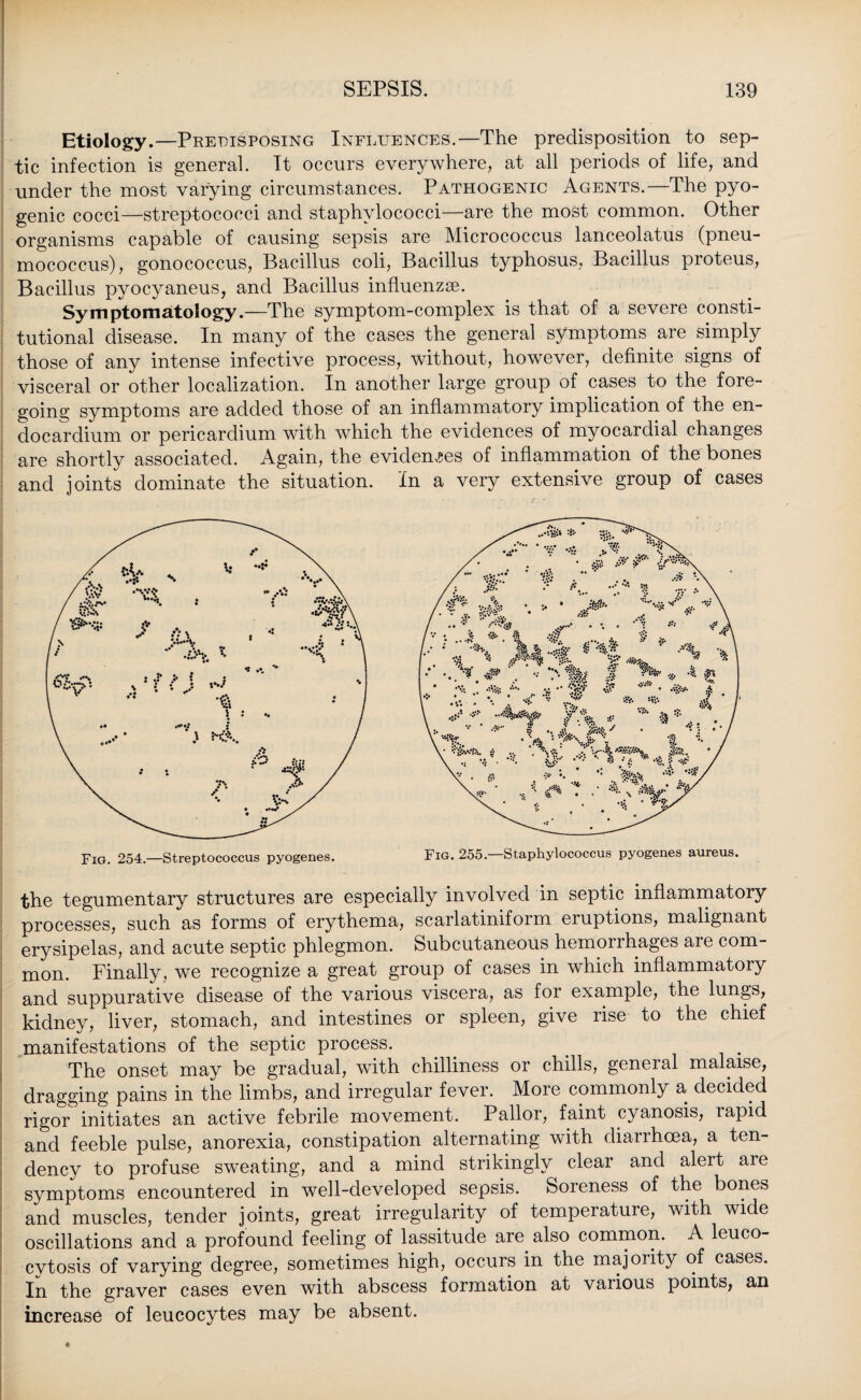 Etiology.—Predisposing Influences.—The predisposition to sep¬ tic infection is general. It occurs everywhere, at all periods of life, and under the most varying circumstances. Pathogenic Agents.—The pyo¬ genic cocci—streptococci and staphylococci—are the most common. Other organisms capable of causing sepsis are Micrococcus lanceolatus (pneu¬ mococcus), gonococcus, Bacillus coli, Bacillus typhosus, Bacillus proteus, Bacillus pyocyaneus, and Bacillus influenzae. Symptomatology.—The symptom-complex is that of a severe consti¬ tutional disease. In many of the cases the general symptoms are simply those of any intense infective process, without, however, definite signs of visceral or other localization. In another large group of cases to the fore¬ going symptoms are added those of an inflammatory implication of the en¬ docardium or pericardium with which the evidences of myocardial changes are shortly associated. Again, the evidences of inflammation of the bones and joints dominate the situation. In a very extensive group of cases the tegumentary structures are especially involved in septic inflammatory processes, such as forms of erythema, scarlatiniform eruptions, malignant erysipelas, and acute septic phlegmon. Subcutaneous hemorrhages are com¬ mon. Finally, we recognize a great group of cases in which inflammatory and suppurative disease of the various viscera, as for example, the lungs, kidney, liver, stomach, and intestines or spleen, give rise to the chief manifestations of the septic process. The onset may be gradual, with chilliness or chills, general malaise, dragging pains in the limbs, and irregular fever. More commonly a decided rigor initiates an active febrile movement. Pallor, faint cyanosis, rapid and feeble pulse, anorexia, constipation alternating with diarrhoea, a ten¬ dency to profuse sweating, and a mind strikingly clear and alert are symptoms encountered in well-developed sepsis. Soreness of the bones and muscles, tender joints, great irregularity of temperature, with wide oscillations and a profound feeling of lassitude are. also common. A leuco- cvtosis of varying degree, sometimes high, occurs in the majority of cases. In the graver cases even with abscess formation at various points, an increase of leucocytes may be absent.