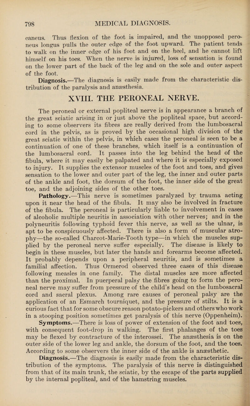 caneus. Thus flexion of the foot is impaired, and the unopposed pero- neus longus pulls the outer edge of the foot upward. The patient tends to walk on the inner edge of his foot and on the heel, and he cannot lift himself on his toes. When the nerve is injured, loss of sensation is found on the lower part of the back of the leg and on the sole and outer aspect of the foot. Diagnosis.—The diagnosis is easily made from the characteristic dis¬ tribution of the paralysis and anaesthesia. XVIII. THE PERONEAL NERVE. The peroneal or external popliteal nerve is in appearance a branch of the great sciatic arising in or just above the popliteal space, but accord¬ ing to some observers its fibres are really derived from the lumbosacral cord in the pelvis, as is proved by the occasional high division of the great sciatic within the pelvis, in which cases the peroneal is seen to be a continuation of one of these branches, which itself is a continuation of the lumbosacral cord. It passes into the leg behind the head of the fibula, where it may easily be palpated and where it is especially exposed to injury. It supplies the extensor muscles of the foot and toes, and gives sensation to the lower and outer part of the leg, the inner and outer parts of the ankle and foot, the dorsum of the foot, the inner side of the great toe, and the adjoining sides of the other toes. Pathology.—This nerve is sometimes paralyzed by. trauma acting upon it near the head of the fibula. It may also be involved in fracture of the fibula. The peroneal is particularly liable to involvement in cases of alcoholic multiple neuritis in association with other nerves; and in the polyneuritis following typhoid fever this nerve, as well as the ulnar, is apt to be conspicuously affected. There is also a form of muscular atro¬ phy—the so-called Charcot-Marie-Tooth type—in which the muscles sup¬ plied by the peroneal nerve suffer especially. The disease is likely to begin in these muscles, but later the hands and forearms become affected. It probably depends upon a peripheral neuritis, and is sometimes a familial affection. Thus Ormerod observed three cases of this disease following measles in one family. The distal muscles are more affected than the proximal. In puerperal palsy the fibres going to form the pero¬ neal nerve may suffer from pressure of the child’s head on the lumbosacral cord and sacral plexus. Among rare causes of peroneal palsy are the application of an Esmarch tourniquet, and the pressure of stilts. It is a curious fact that for some obscure reason potato-pickers and others who work in a stooping position sometimes get paralysis of this nerve (Oppenheim). Symptoms.—There is loss of power of extension of the foot and toes, with consequent foot-drop in walking. The first phalanges of the toes may be flexed by contracture of the interossei. The anaesthesia is on the outer side of the lower leg and ankle, the dorsum of the foot, and the toes. According to some observers the inner side of the ankle is anaesthetic. Diagnosis.—The diagnosis is easily made from the characteristic dis¬ tribution of the symptoms. The paralysis of this nerve is distinguished from that of its main trunk, the sciatic, by the escape of the parts supplied by the internal popliteal, and of the hamstring muscles.