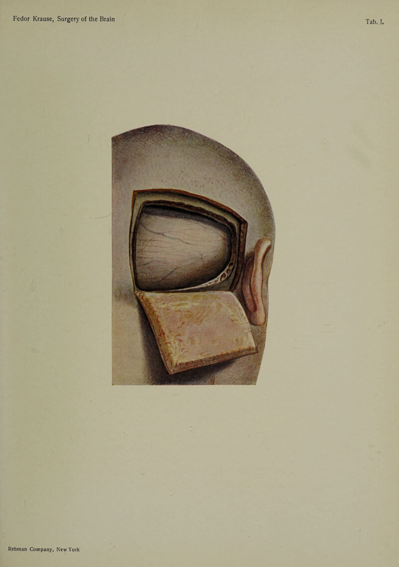 Tab. I Rebman Company, New York