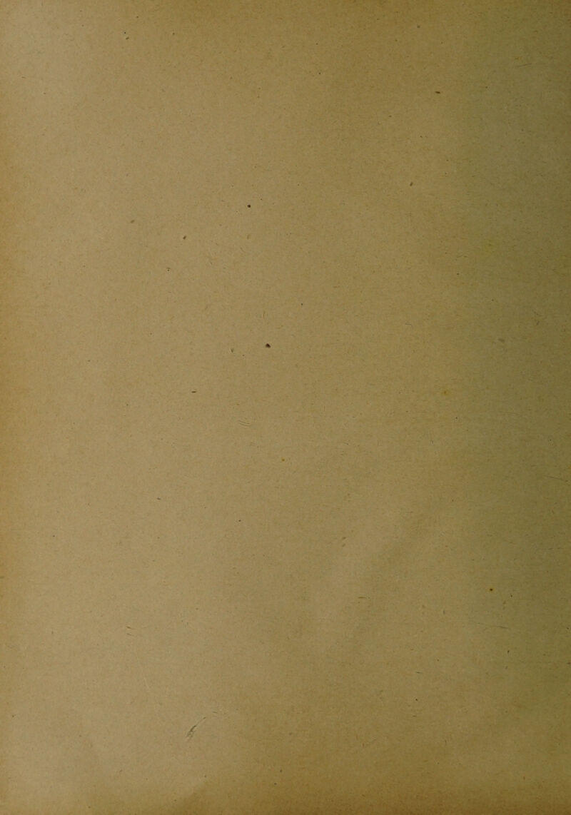 * • . w J t ■ . ) .. ’ t-i,