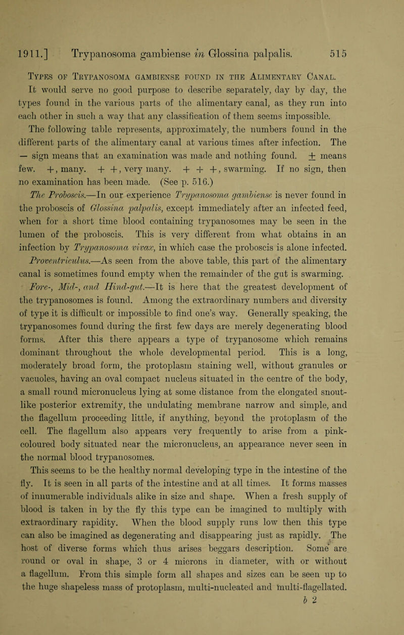 TYPES OF TRYPANOSOMA GAMBIENSE FOUND IN TIIE ALIMENTARY CANAL. It would serve no good purpose to describe separately, day by day, the types found in the various parts of the alimentary canal, as they run into each other in such a way that any classification of them seems impossible. The following table represents, approximately, the numbers found in the different parts of the alimentary canal at various times after infection. The — sign means that an examination was made and nothing found. + means few. +, many. + +, very many. +-}-+, swarming. If no sign, then no examination has been made. (See p. 516.) The Proboscis.—In our experience Trypanosoma gambiense is never found in the proboscis of Glossina palpalis, except immediately after an infected feed, when for a short time blood containing trypanosomes may be seen in the lumen of the proboscis. This is very different from what obtains in an infection by Trypanosoma vivax, in which case the proboscis is alone infected. Proventriculus.—As seen from the above table, this part of the alimentary canal is sometimes found empty when the remainder of the gut is swarming. Fore-, Mid-, and Hind-gut.—It is here that the greatest development of the trypanosomes is found. Among the extraordinary numbers and diversity of type it is difficult or impossible to find one’s way. Generally speaking, the trypanosomes found during the first few days are merely degenerating blood forms. After this there appears a type of trypanosome which remains dominant throughout the whole developmental period. This is a long, moderately broad form, the protoplasm staining well, without granules or vacuoles, having an oval compact nucleus situated in the centre of the body, a small round micronucleus lying at some distance from the elongated snout¬ like posterior extremity, the undulating membrane narrow and simple, and the flagellum proceeding little, if anything, beyond the protoplasm of the cell. The flagellum also appears very frequently to arise from a pink- coloured body situated near the micronucleus, an appearance never seen in the normal blood trypanosomes. This seems to be the healthy normal developing type in the intestine of the fly. It is seen in all parts of the intestine and at all times. It forms masses of innumerable individuals alike in size and shape. When a fresh supply of blood is taken in by the fly this type can be imagined to multiply with extraordinary rapidity. When the blood supply runs low then this type can also be imagined as degenerating and disappearing just as rapidly. The host of diverse forms which thus arises beggars description. Some are round or oval in shape, 3 or 4 microns in diameter, with or without a flagellum. From this simple form all shapes and sizes can be seen up to the huge shapeless mass of protoplasm, multi-nucleated and multi-flagellated. b 2