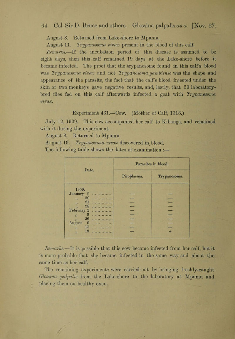 August 8. Beturned from Lake-shore to Mpumu. August 11. Trypanosoma vivax present in the blood of this calf. Bernards.—If the incubation period of this disease is assumed to he eight days, then this calf remained 19 days at the Lake-shore before it became infected. The proof that the trypanosome found in this calf’s blood was Trypanosoma vivax and not Trypanosoma gambiense was the shape and appearance of the parasite, the fact that the calf’s blood injected under the skin of two monkeys gave negative results, and, lastly, that 50 laboratory- bred flies fed on this calf afterwards infected a goat with Trypanosoma vivax. Experiment 431.—Cow. (Mother of Calf, 1318.) July 12, 1909. This cow accompanied her calf to Kibanga, and remained with it during the experiment. August 8. Beturned to Mpumu. August 19. Trypanosoma vivax discovered in blood. The following table shows the dates of examination :— Date. Parasites in blood. Piroplasma. Trypanosoma. 1909. January 9 ... — — ,, 20 . . _ 21 . 28 33 . February 2 . 9 — — 33 u . » 26 . — — A n gn st 9 . . „ 11 . — — „ 19 . + Remarks.—It is possible that this cow became infected from her calf, but it is more probable that she became infected in the same way and about the same time as her calf. The remaining experiments were carried out by bringing freshly-caught Glossina palpalis from the Lake-shore to the laboratory at Mpumu and placing them on healthy oxen.