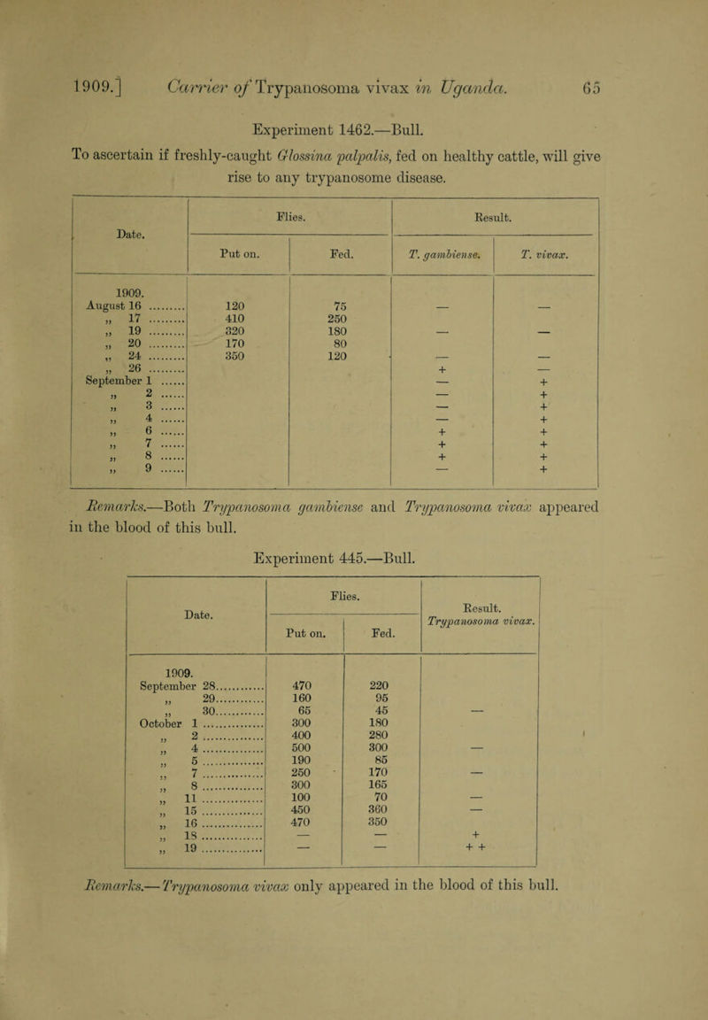Experiment 1462.—Bull. To ascertain if freshly-caught Glossina palpalis, feci on healthy cattle, will give rise to any trypanosome disease. Flies. Result. JJclvU* Put on. Fed. T. gambiense. T. vivax. 1909. August 16 . 120 75 — — „ 17 . 410 250 ,, 19 . 320 180 „ 20 . 170 80 24 350 120 „ 26 . 4* September 1 . + „ 2 . — + „ 3 . — + » 4 . — + „ 6 . + + » 7 . + + « 8 . + + „ 9 . + Remarks.—Both Trypanosoma gambiense and Trypanosoma vivax appeared in the blood of this bull. Experiment 445.—Bull. Date. Flies. Result. Put on. Fed. Trypanosoma vivax. 1909. September 28. 470 220 29. 160 95 5) 30. 65 45 __ October 1 . 300 180 2 . 400 280 )) 4 . 500 300 _ 5 . 190 85 7 . 250 170 _ 5 > 8 . 300 165 yy 11 . 100 70 — 15 . 450 360 — 16 . 470 350 IS . _ — + 19 . - _ + + yy Remarks.— Trypanosoma vivax only appeared in the blood of this bull.