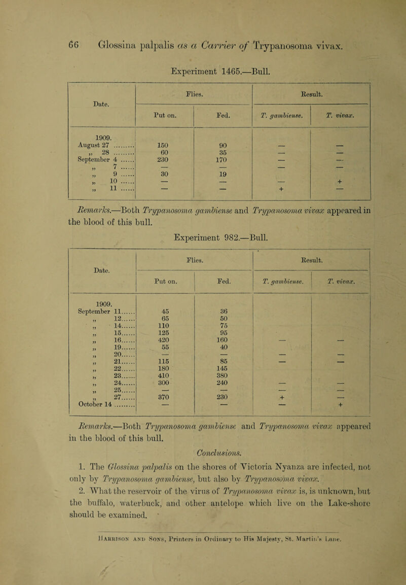 Experiment 1465.—Bull. Date. Flies. Result. Put on. Fed. T. gambiense. T. vivax. 1909. August 27 150 90 „ 28 60 35 September 4 . 230 170 — — 3) * . „ 9 . 30 19 >, io. — — — + „ 11 . —— + — Remarks.—Both Trypanosoma gambiense and Trypanosoma vivax appeared in the blood of this bull. Experiment 982.—Bull. Date. Flies. Result. Put on. Fed. T. gambiense. T. vivax. 1909. September 11. 45 36 „ 12. 65 50 „ 14. 110 75 „ 15. 125 95 „ 16. 420 160 — — „ 19. 55 40 „ 20. — — — — „ 21. 115 85 — „ 22. 180 145 „ 23. 410 380 „ 24. 300 240 — — „ 25. —■ — — — „ 27. 370 230 + — October 14 . — — — + Remarks.—Both Trypanosoma gambiense and Trypanosoma vivax appeared in the blood of this bull. Conclusions. 1. The Glossina palpalis on the shores of Victoria Nyanza are infected, not only by Trypanosoma gambiense, but also by Trypanosoma vivax. 2. What the reservoir of the virus of Trypanosoma vivax is, is unknown, but the buffalo, waterbuck, and other antelope which live on the Lake-shore should be examined.
