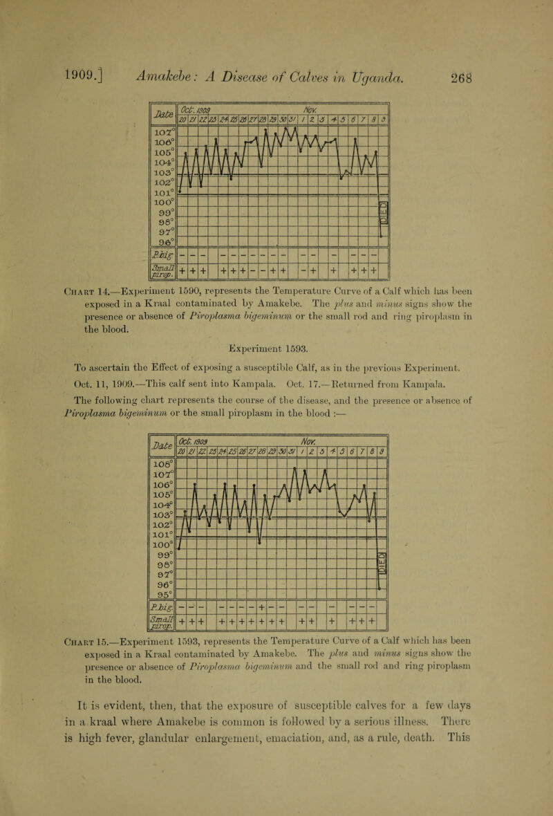 Date Oct. ISOl ? Nov. ZO Z! zz zz Z-f Z6 zr zp 50 m a 2 5 5 6 a a d 107° 106° 105° 104° 103° 102° 101° 100° 99° 98° 97° 96° □ □ [7 LjL \ r 3 \M t if •5 i t i k Hi , 1 ZTL 1 Y y i A t 1 r / r l zr T i 1 1 J L J 4- E 1 i l~ r r r — _ - ■ a I n z ~ z • P.Jbig: - - - _ - - - - - - - - ! - — Small pirop. + + + + + + _ - + + - + + + + i+ u Chart 14.—Experiment 1590, represents the Temperature Curve of a Calf which has been exposed in a Kraal contaminated by Amakebe. The plus and minus signs show the presence or absence of Piroplasma bigeminum or the small rod and ring piroplasm in the blood. Experiment 1593. To ascertain the Effect of exposing a susceptible Calf, as in the previous Experiment. Oct. 11, 1909.—This calf sent into Kampala. Oct. 17.—Returned from Kampala. The following chart represents the course of the disease, and the presence or absence of Piroplasma bigeminum or the small piroplasm in the blood :— Pate Oct. isos Nov. ZO Z! zz Z5 zs zs Z6 £7 Z8 ZS 50 5/ / z 5 * 5 6 7 8 9 108° 10P 106° s 105° \ t lost 1 1 k f 103° 1 f \\ JL 102° \ J V 101° T V 100° I 99° isj 98° UJ 9?° 3 96° 95° PMff. + Small pirop. + + + + + + + + + + + + + + + + Chart 15.—Experiment 1593, represents the Temperature Curve of a Calf which has been exposed in a Kraal contaminated by Amakebe. The plus and minus signs show the presence or absence of Piroplasma bigeminum and the small rod and ring piroplasm in the blood. It is evident, then, that the exposure of susceptible calves for a few days in a kraal where Amakebe is common is followed by a serious illness. There is high fever, glandular enlargement, emaciation, and, as a rule, death. This