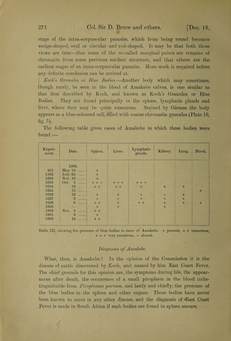 stage of the intra-corpuscular parasite, which from being round becomes wedge-shaped, oval or circular and rod-shaped. It may be that both these views are true—that some of the so-called marginal points are remains of chromatin from some previous nuclear structure, and that others are the earliest stages of an intra-corpuscular parasite. More work is required before any definite conclusion can be arrived at. Koch’s Granules or Blue Bodies.—Another body which may sometimes, though rarely, be seen in the blood of Amakebe calves, is one similar to that first described by Koch, and known as Koch’s Granules or Blue Bodies. They are found principally in the spleen, lymphatic glands and liver, where they may be quite numerous. Stained by Giemsa the body 0 appears as a blue-coloured cell, filled with coarse chromatin granules (Plate 10, fig. 5). The following table gives cases of Amakebe in which these bodies were found :— Experi¬ ment. Date. Spleen. Liver. Lymphatic glands. Kidney. Lung. Blood. 1909. ... 415 May 10 . + 1392 July 24 . + 1593 Nov. 10 . + 1633 Oct. 5 . + + + + + + + + + 1634 18 . + + + 4~ + + + 1635 15 . + 1636 12 . + + + + + 1637 6 . + + + + + 1638 6 . + + + + + + + + 1833 —- .+ + + 1888 Nov. 5 . + + 1891 8 . + 1908 I 14 . + + Table III, showing the presence of blue bodies in cases of Amakebe. + present, + + numerous, + + + very numerous, — absent. Diagnosis of Amaleebe. What, then, is Amakebe ? In the opinion of the Commission it is the disease of cattle discovered by Koch, and named by him East Coast Fever. The chief grounds for this opinion are, the symptoms during life, the appear¬ ances after death, the occurrence of a small piroplasm in the blood indis¬ tinguishable from Piroplasma jjarvum, and lastly and chiefly, the presence of the blue bodies in the spleen and other organs. These bodies have never been known to occur in any other disease, and the diagnosis of ‘East Coast Fever is made in South Africa if such bodies are found in spleen smears.