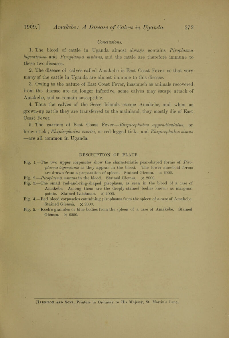 Conclusions. 1. The blood of cattle in Uganda almost always contains Piroplasma bigeminum and Piroplasma mutans, and the cattle are therefore immune to these two diseases. 2. The disease of calves called Amakebe is East Coast Fever, so that very many of the cattle in Uganda are almost immune to this disease. 3. Owing to the nature of Ease Coast Fever, inasmuch as animals recovered from the disease are no longer infective, some calves may escape attack of Amakebe, and so remain susceptible. 4. Thus the calves of the Sesse Islands escape Amakebe, and when as grown-up cattle they are transferred to the mainland, they mostly die of East Coast Fever. 5. The carriers of East Coast Fever—Bhipicephalus appendiculatus, or brown tick ; Bhipicephalus evertsi, or red-legged tick ; and Bhipicephalus simus —are all common in Uganda. DESCRIPTION OF PLATE. Fig. 1.—The two upper corpuscles show the characteristic pear-shaped forms of Piro¬ plasma bigeminum as they appear in the blood. The lower amoeboid forms are drawn from a preparation of spleen. Stained Gierasa. X 2000. Fig. 2.—Piroplasma mutans in the blood. Stained Giemsa. X 2000. Fig. 3.—The small rod-and-ring-shaped piroplasm, as seen in the blood of a case of Amakebe. Among them are the deeply-stained bodies known as marginal points. Stained Leishman. X 2000. Fig. 4.—Red blood corpuscles containing piroplasma from the spleen of a case of Amakebe. Stained Giemsa. X 2000. Fig. 5.—Koch’s granules or blue bodies from the spleen of a case of Amakebe. Stained Giemsa. X 2000. Harrison and Sons, Printers in Ordinary to His Majesty, St. Martin’s bane.