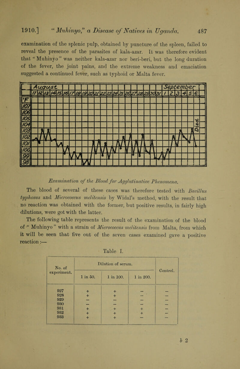 examination of the splenic pulp, obtained by puncture of the spleen, failed to reveal the presence of the parasites of kala-azar. It was therefore evident that “ Muhinyo ” was neither kala-azar nor beri-beri, but the long duration of the fever, the joint pains, and the extreme weakness and emaciation suggested a continued fever, such as typhoid or Malta fever. Auqu [St Septembet // 12 /3 14 /5 /6 /7 !9 Z? 2/ 22 25 AS '723 29 30 3/ / 2\3 £Ls 6 °F iO? 106 /OS Died m /OS ft J f L ft 102 f h t, A i ft I \ f 101 V 1 1 yv rft 1 ft i / r \h h / \ A 1 4 % \ 100 / / 1/ [n 4 s n /u Vi / l 99 t / fl V r * I \ J if 98 V i r Examination of the Blood for Agglutinative Phenomena. The blood of several of these cases was therefore tested with Bacillus tyrphosus and Micrococcus melitensis by Widal’s method, with the result that no reaction was obtained with the former, but positive results, in fairly high dilutions, were got with the latter. The following table represents the result of the examination of the blood of “ Muhinyo ” with a strain of Micrococcus melitensis from Malta, from which it will be seen that five out of the seven cases examined gave a positive reaction:— Table I. No. of experiment. Dilution of serum. Control. 1 in 50. 1 in 100. 1 in 200. 927 + + 928 + + — — 929 — — — — 930 — — — —- 931 + 4- + — 932 + + + — 933 + + — —