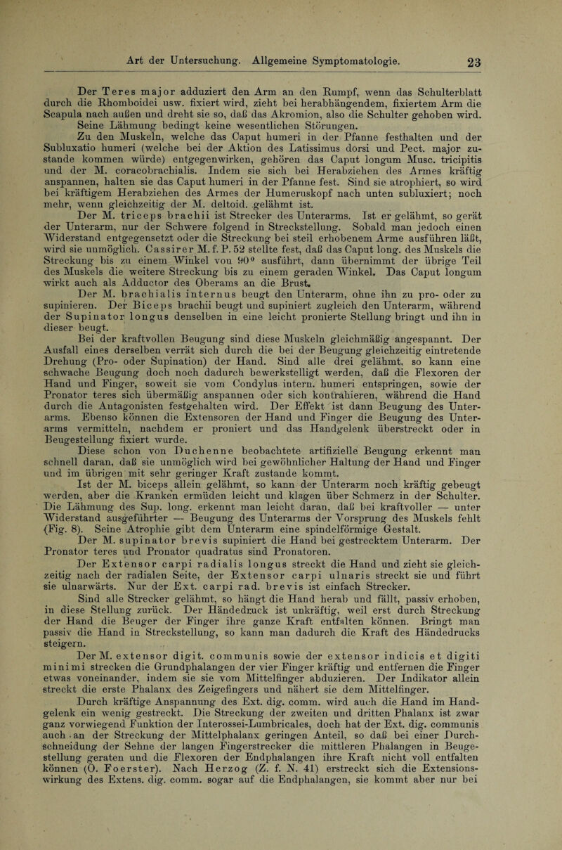 Der Teres major adduziert den Arm an den Rumpf, wenn das Schulterblatt durch die Rhomboidei usw. fixiert wird, zieht bei herabhängendem, fixiertem Arm die Scapula nach außen und dreht sie so, daß das Akromion, also die Schulter gehoben wird. Seine Lähmung bedingt keine wesentlichen Störungen. Zu den Muskeln, welche das Caput humeri in der Pfanne festhalten und der Subluxatio humeri (welche bei der Aktion des Latissimus dorsi und Pect, major zu¬ stande kommen würde) entgegenwirken, gehören das Caput longum Muse, tricipitis und der M. coracobrachialis. Indem sie sich bei Herabziehen des Armes kräftig anspannen, halten sie das Caput humeri in der Pfanne fest. Sind sie atrophiert, so wird bei kräftigem Herabziehen des Armes der Humeruskopf nach unten subluxiert; noch mehr, wenn gleichzeitig der M. deltoid. gelähmt ist. Der M. triceps brachii ist Strecker des Unterarms. Ist er gelähmt, so gerät der Unterarm, nur der Schwere folgend in Strecksteilung. Sobald man jedoch einen Widerstand entgegensetzt oder die Streckung bei steil erhobenem Arme ausführen läßt, wird sie unmöglich. Cassirer M. f. P. 52 stellte fest, daß das Caput long. des Muskels die Streckung bis zu einem Winkel vou 90° ausführt, dann übernimmt der übrige Teil des Muskels die weitere Streckung bis zu einem geraden Winkel. Das Caput longum wirkt auch als Adductor des Oberams an die Brust. Der M. brachialis internus beugt den Unterarm, ohne ihn zu pro- oder zu supinieren. Der Biceps brachii beugt und supiniert zugleich den Unterarm, während der Supinator longus denselben in eine leicht pronierte Stellung bringt und ihn in dieser beugt. Bei der kraftvollen Beugung sind diese Muskeln gleichmäßig angespannt. Der Ausfall eines derselben verrät sich durch die bei der Beugung gleichzeitig eintretende Drehung (Pro- oder Supination) der Hand. Sind alle drei gelähmt, so kann eine schwache Beugung doch noch dadurch bewerkstelligt werden, daß die Flexoren der Hand und Finger, soweit sie vom Condylus intern, humeri entspringen, sowie der Pronator teres sich übermäßig anspannen oder sich kontrahieren, während die Hand durch die Antagonisten festgehalten wird. Der Effekt ist dann Beugung des Unter¬ arms. Ebenso können die Extensoren der Hand und Finger die Beugung des Unter¬ arms vermitteln, nachdem er proniert und das Handgelenk überstreckt oder in Beugestellung fixiert wurde. Diese schon von Duchenne beobachtete artifizielle Beugung erkennt man schnell daran, daß sie unmöglich wird bei gewöhnlicher Haltung der Hand und Finger und im übrigen mit sehr geringer Kraft zustande kommt. Ist der M. biceps allein gelähmt, so kann der Unterarm noch kräftig gebeugt werden, aber die Kranken ermüden leicht und klagen über Schmerz in der Schulter. Die Lähmung des Sup. long. erkennt man leicht daran, daß bei kraftvoller — unter Widerstand ausgeführter — Beugung des Unterarms der Vorsprung des Muskels fehlt (Fig. 8). Seine Atrophie gibt dem Unterarm eine spindelförmige Gestalt. Der M. supinator brevis supiniert die Hand bei gestrecktem Unterarm. Der Pronator teres und Pronator quadratus sind Pronatoren. Der Extensor carpi radialis longus streckt die Hand und zieht sie gleich¬ zeitig nach der radialen Seite, der Extensor carpi ulnaris streckt sie und führt sie ulnarwärts. Nur der Ext. carpi rad. brevis ist einfach Strecker. Sind alle Strecker gelähmt, so hängt die Hand herab und fällt, passiv erhoben, in diese Stellung zurück. Der Händedruck ist unkräftig, weil erst durch Streckung der Hand die Beuger der Finger ihre ganze Kraft entfalten können. Bringt man passiv die Hand in Streckstellung, so kann man dadurch die Kraft des Händedrucks steigern. Der M. extensor digit. communis sowie der extensor indicis et digiti minimi strecken die Gfrundphalangen der vier Finger kräftig und entfernen die Finger etwas voneinander, indem sie sie vom Mittelfinger abduzieren. Der Indikator allein streckt die erste Phalanx des Zeigefingers und nähert sie dem Mittelfinger. Durch kräftige Anspannung des Ext. dig. comm. wird auch die Hand im Hand¬ gelenk ein wenig gestreckt. Die Streckung der zweiten und dritten Phalanx ist zwar ganz vorwiegend Funktion der Interossei-Lumbricales, doch hat der Ext. dig. communis auch • an der Streckung der Mittelphalanx geringen Anteil, so daß bei einer Durch¬ schneidung der Sehne der langen Fingerstrecker die mittleren Phalangen in Beuge¬ stellung geraten und die Flexoren der Endphalangen ihre Kraft nicht voll entfalten können (0. Foerster). Nach Herzog (Z. f. N. 41) erstreckt sich die Extensions¬ wirkung des Extens. dig. comm. sogar auf die Eudphalangen, sie kommt aber nur bei