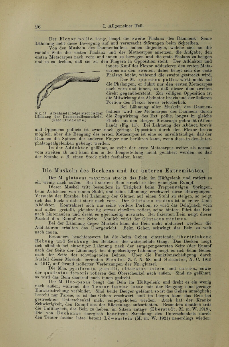 und so zu drehen, daß Der Flexor pollic. long. beugt die zweite Phalanx des Daumens. Seine Lähmung hebt diese Bewegung auf und verursacht Störungen beim Schreiben. Yon den Muskeln des Daumenballens haben diejenigen, welche sich an die radiale Seite der ersten Phalanx und des Metacarpus ansetzen, die Aufgabe, den ersten Metacarpus nach vorn und innen zu bewegen und die erste Phalanx zu beugen sie zu den Fingern in Opposition steht. Der Adduktor und innere Kopf des Flexor adduzieren den ersten Meta¬ carpus an den zweiten, dabei beugt sich die erste Phalanx leicht, während die zweite gestreckt wird. Der M. opponens pollic. wirkt nicht auf die Phalangen, er führt nur den ersten Metacarpus nach vorn und innen, so daß dieser dem zweiten direkt gegenübersteht. Zur völligen Opposition ist die Mitwirkung des Abductor brevis und der äußeren Portion des Flexor brevis erforderlich. Bei Lähmung aller Muskeln des Daumen¬ ballens wird der Metacarpus des Daumens durch die Zugwirkung des Ext. pollic. longus in gleiche Flucht mit den übrigen Metacarpi gebracht (Affen¬ hand) (Fig. 11). Bei Lähmung des Abduct. brevis und Opponens pollicis ist zwar noch geringe Opposition durch den Flexor brevis möglich, aber die Beugung des ersten Metacarpus ist eine so unvollständige, daß der Daumen die Spitzen der anderen Finger nur berühren kann, wenn diese in den Inter- phalangealgelenken gebeugt werden. Ist der Adduktor gelähmt, so steht der erste Metacarpus weiter als normal vom zweiten ab und kann ihm in der Beugestellung nicht genähert werden, so daß der Kranke z. B. einen Stock nicht festhalten kann. Fig. 11. Affenhand. infolge atrophischer Lähmung der Daumenballenmuskeln. (Nach Duchenne.) 1 Die Muskeln des Beckens und der unteren Extremitäten. t * ■ Der M. glutaeus maximus streckt das Bein im Hüftgelenk und rotiert es ein wenig nach außen. Bei fixiertem Bein streckt er den geneigten Rumpf. Dieser Muskel tritt besonders in Tätigkeit beim Treppensteigen, Springen, beim Aufstehen von einem Stuhl, und seine Lähmung erschwert diese Bewegungen. Versucht der Kranke, bei Lähmung der Gllutaei auf einen Stuhl zu steigen, so neigt sich das Becken dabei stark nach vorn. Der Glutaeus medius ist in erster Linie Abduktor. Kontrahiert sich nur seine vordere Portion, so wird das Bein^nach vorn und außen gestellt, gleichzeitig etwas einwärts rotiert, seine hintere führt das Bein nach hintenaußen und dreht es gleichzeitig auswärts. Bei fixiertem Bein neigt dieser Muskel den Rumpf zur Seite. Ähnlich wirkt der Glutaeus minimus. Bei der Lähmung dieser Muskeln kann das Bein nicht abduziert werden: die Adduktoren erhalten das Übergewicht. Beim Gehen schwingt das Bein zu weit nach innen. Besonders beachtenswert ist die beim Gehen eintretende übertriebene Hebung und Senkung des Beckens, der watschelnde Gang. Das Becken neigt ■sich nämlich bei einseitiger Lähmung nach der entgegengesetzten Seite (der Rumpf nach der Seite der Lähmung), bei doppelseitiger Lähmung neigt es sich beim Gehen nach der Seite des schwingenden Beines. Über die Funktionsschädigung durch Ausfall dieser Muskeln berichten Mendel, Z. f. N. 58, und Schuster, N. C. 1915 u. 1917, auf Grund isolierter Verletzungen der Nn. glutaei. Die Mm. p-yriformis, gemelli, obturator. intern, und extern., sowie der quadratus femoris rotieren den Oberschenkel nach außen. Sind sie gelähmt, so wird das Bein dauernd nach innen gedreht. Der M. ile o-psoas beugt das Bein im Hüftgelenk und dreht es ein wenig nach außen, während der Tensor fasciae latae mit der Beugung eine geringe Einwärtsdrehung verbindet. Sind beide Beuger gelähmt, so ist das Gehen unmöglich; besteht nur Parese, so ist das Gehen erschwert, und im Liegen kann das Bein bei gestrecktem Unterschenkel nicht emporgehoben werden. Auch hat der Kranke Schwierigkeit, den Rumpf aus der Rückenlage aufzurichten. Besonders deutlich tritt die Unfähigkeit, das Bein zu heben, im Sitzen zutage (Eberstadt, M. m. W. 1919). Die von Duchenne energisch bestrittene Streckung des Unterschenkels durch den Tensor fasciae latae betont Löwenstein (M. m. W. 1921) neuerdings wieder.