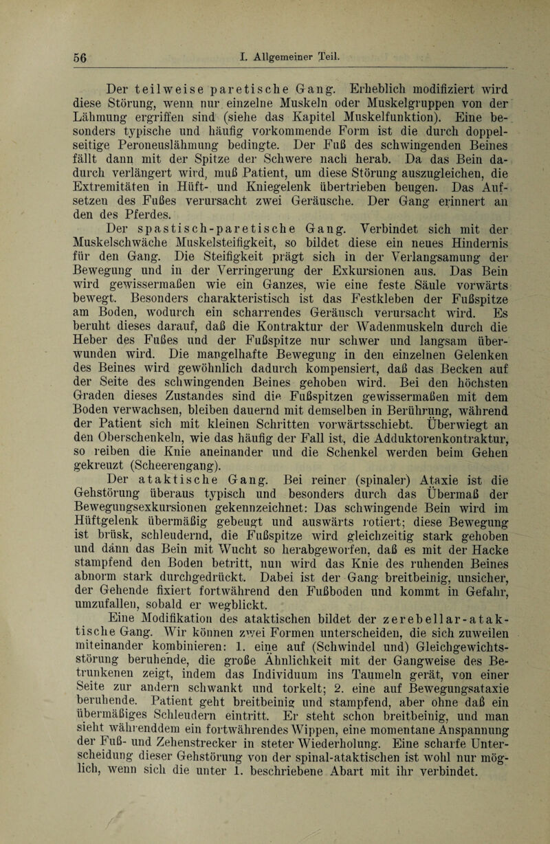 Der teilweise paretische Gang. Erheblich modifiziert wird diese Störung, wenn nur einzelne Muskeln oder Muskelgruppen von der Lähmung ergriffen sind (siehe das Kapitel Muskelfunktion). Eine be¬ sonders typische und häufig vorkommende Form ist die durch doppel¬ seitige Peroneuslähmung bedingte. Der Fuß des schwingenden Beines fällt dann mit der Spitze der Schwere nach herab. Da das Bein da¬ durch verlängert wird, muß Patient, um diese Störung auszugleichen, die Extremitäten in Hilft- und Kniegelenk übertrieben beugen. Das Auf¬ setzen des Fußes verursacht zwei Geräusche. Der Gang erinnert an den des Pferdes. Der spastisch-paretische Gang. Verbindet sich mit der Muskelschwäche Muskelsteifigkeit, so bildet diese ein neues Hindernis für den Gang. Die Steifigkeit prägt sich in der Verlangsamung der Bewegung und in der Verringerung der Exkursionen aus. Das Bein wird gewissermaßen wie ein Ganzes, wie eine feste Säule vorwärts bewegt. Besonders charakteristisch ist das Festkleben der Fußspitze am Boden, wodurch ein scharrendes Geräusch verursacht wird. Es beruht dieses darauf, daß die Kontraktur der Wadenmuskeln durch die Heber des Fußes und der Fußspitze nur schwer und langsam über¬ wunden wird. Die mangelhafte Bewegung in den einzelnen Gelenken des Beines wird gewöhnlich dadurch kompensiert, daß das Becken auf der Seite des schwingenden Beines gehoben wird. Bei den höchsten Graden dieses Zustandes sind dm Fußspitzen gewissermaßen mit dem Boden verwachsen, bleiben dauernd mit demselben in Berührung, während der Patient sich mit kleinen Schritten vorwärtsschiebt. Überwiegt an den Oberschenkeln, wie das häufig der Fall ist, die Adduktorenkontraktur, so reiben die Knie aneinander und die Schenkel werden beim Gehen gekreuzt (Scheerengang). Der ataktische Gang. Bei reiner (spinaler) Ataxie ist die Gehstörung überaus typisch und besonders durch das Übermaß der Bewegungsexkursionen gekennzeichnet: Das schwingende Bein wird im Hüftgelenk übermäßig gebeugt und auswärts rotiert; diese Bewegung ist brüsk, schleudernd, die Fußspitze wird gleichzeitig stark gehoben und dann das Bein mit Wucht so herabgeworfen, daß es mit der Hacke stampfend den Boden betritt, nun wird das Knie des ruhenden Beines abnorm stark durchgedrückt. Dabei ist der Gang breitbeinig, unsicher, der Gehende fixiert fortwährend den Fußboden und kommt in Gefahr, umzufallen, sobald er wegblickt. Eine Modifikation des ataktischen bildet der zerebellar-atak¬ tische Gang. Wir können zwei Formen unterscheiden, die sich zuweilen miteinander kombinieren: 1. eine auf (Schwindel und) Gleichgewichts¬ störung beruhende, die große Ähnlichkeit mit der Gangweise des Be¬ trunkenen zeigt, indem das Individuum ins Taumeln gerät, von einer Seite zur andern schwankt und torkelt; 2. eine auf Bewegungsataxie beruhende. Patient geht breitbeinig und stampfend, aber ohne daß ein übermäßiges Schleudern ein tritt. Er steht schon breitbeinig, und man sieht währenddem ein fortwährendes Wippen, eine momentane Anspannung der Fuß- und Zehenstrecker in steter Wiederholung. Eine scharfe Unter¬ scheidung dieser Gehstörung von der spinal-ataktischen ist wohl nur mög¬ lich, wenn sich die unter 1. beschriebene Abart mit ihr verbindet.