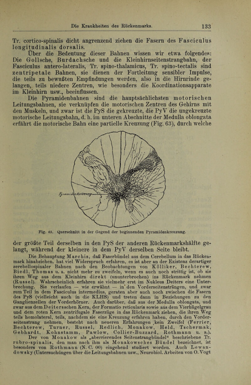 Tr. cortico-spinalis dicht angrenzend ziehen die Fasern des Fasciculus longitudinalis dorsalis. Über die Bedeutung dieser Bahnen wissen wir etwa folgendes: Die Gollsche, Burdachsche und die Kleinhirnseitenstrangbahn, der Fasciculus antero-lateralis, Tr. spino-thalamicus, Tr. spino-tectalis sind zentripetale Bahnen, sie dienen der Fortleitung sensibler Impulse, die teils zu bewußten Empfindungen werden, also in die Hirnrinde ge¬ langen, teils niedere Zentren, wie besonders die Koordinationsapparate im Kleinhirn usw., beeinflussen. Die Pyramidenbahnen sind die hauptsächlichsten motorischen Leitungsbahnen, sie verknüpfen die motorischen Zentren des Gehirns mit den Muskeln, und zwar ist die PyS die gekreuzte, die PyV die ungekreuzte motorische Leitungsbahn, d. h. im unteren Abschnitte der Medulla oblongata erfährt die motorische Bahn eine partielle Kreuzung (Fig. 63), durch welche Fig. 63. Querschnitt in der Gegend der beginnenden Pyramidenkreuzung. « der größte Teil derselben in den PyS der anderen Kückenmarkshälfte ge¬ langt, während der kleinere in dem PyV derselben Seite bleibt. Die Behauptung Marchis, daß Faserbündel aus dem Cerebellum in das Rücken¬ mark hinabziehen, hat viel Widerspruch erfahren, es ist aber an der Existenz derartiger zerebellospinaler Bahnen nach den Beobachtungen von Kölliker, Bechterew, Biedl, Thomas u. a. nicht mehr zu zweifeln, wenn es auch noch strittig ist, ob sie ihren Weg aus dem Kleinhirn direkt (ununterbrochen) ins Rückenmark nehmen (Rüssel). Wahrscheinlich erfahren sie vielmehr erst im Nukleus Deiters eine Unter¬ brechung. Sie verlaufen — wie erwähnt — in’ den Vorderseitensträngen, und zwar zum Teil in dem Fasciculus intermedius, geraten aber auch noch zwischen die Fasern des PyS (vielleicht auch in die KLHS) und treten dann in Beziehungen zu den Ganglienzellen der Vorderhörner. Auch darüber, daß aus der Medulla oblongata, und zwar aus demD eitersschen Kern, derFormatio reticularis sowie aus dem Vierhügelgrau und dem roten Kern zentrifugale Faserzüge in das Rückenmark ziehen, die ihren Weg teils homolateral, teils, nachdem sie eine Kreuzung erfahren haben, durch den Vorder¬ seitenstrang nehmen, besteht nach neueren Erfahrungen tke^n Zweifel (Ferrier, Bechterew, Turner, Rüssel, Redlich, Monakow, Held, Tschermak, Gebhardt, Kohnstamm, Pawlow, Collier-Buzzard, Rothmann u. a.). Der von Monakow als „aberrierendes Seitenstrangbündel“ beschriebene Tr. rubro-spinalis, den man nach ihm als Monakowsches Bündel bezeichnet, ist besonders von Rothmann (N. 0. 00) eingehend studiert worden. Auch Lewan- dowsky (Untersuchungen über die Leitungsbahnen usw., Neurobiol. Arbeiten von 0. Vogt