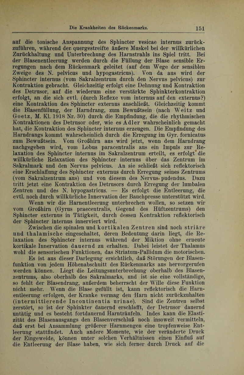 auf die tonische Anspannung des Sphincter vesicae internus zurück¬ zuführen, während der quergestreifte äußere Muskel bei der willkürlichen Zurückhaltung und Unterbrechung des Harnstrahls ins Spiel tritt. Bei der Blasenentleerung werden durch die Füllung der Blase sensible Er¬ regungen nach dem Rückenmark geleitet (auf dem Wege der sensiblen Zweige des N. pelvicus und hypogastricus). Von da aus wird der Sphincter internus (vom Sakralzentrum durch den Nervus pelvicus) zur Kontraktion gebracht. Gleichzeitig erfolgt eine Dehnung und Kontraktion des Detrusor, auf die wiederum eine verstärkte Sphinkterkontraktion erfolgt, an die sich evtl, (durch Reflexe vom internus auf den externus?) eine Kontraktion des Sphincter externus anschließt. Gleichzeitig kommt die Blasenfüllung, der Harndrang, zum Bewußtsein (nach Weitz und Goetz, M. Kl. 1918 Nr. 30) durch die Empfindung, die die rhythmischen Kontraktionen des Detrusor oder, wie es Adler wahrscheinlich gemacht hat, die Kontraktion des Sphincter internus erzeugen. Die Empfindung des Harndrangs kommt wahrscheinlich durch die Erregung im Gyr. fornicatus zum Bewußtsein. Vom Großhirn aus wird jetzt, wenn dem Harndrang nachgegeben wird, vom Lobus paracentralis aus ein Impuls zur Re¬ laxation des Sphincter internus im Sakralzentrum erteilt, es erfolgt die willkürliche Relaxation des Sphincter internus über das Zentrum im Sakralmark und den Nervus pelvicus. An sie schließt sich reflektorisch eine Erschlaffung des Sphincter externus durch Erregung seines Zentrums (vom Sakralzentrum aus) und von diesem des Nervus pudendus. Dazu tritt jetzt eine Kontraktion des Detrusors durch Erregung der lumbalen Zentren und des N. hypogastricus. — Es erfolgt die Entleerung, die evtl, noch durch willkürliche Innervation der Bauchpresse unterstützt wird. Wenn wir die Harnentleerung unterbrechen wollen, so setzen wir vom Großhirn (Gyrus praecentralis, Gegend des Hüftzentrums) den Sphincter externus in Tätigkeit, durch dessen Kontraktion reflektorisch der Sphincter internus innerviert wird. Zwischen die spinalen und kortikalen Zentren sind noch striäre und thalamische eingeschaltet, deren Bedeutung darin liegt, die Re¬ laxation des Sphincter internus während der Miktion ohne erneute kortikale Innervation dauernd zu erhalten. Dabei leistet der Thalamus wohl die sensorischen Funktionen, das Striatum-Pallidum die motorischen. Es ist aus dieser Darlegung ersichtlich, daß Störungen der Blasen- funktion von jedem Höhenabschnitt des Rückenmarks aus hervorgerufen werden können. Liegt die Leitungsunterbrechung oberhalb des Blasen¬ zentrums, also oberhalb des Sakralmarks, und ist sie eine vollständige, so fehlt der Blasendrang, außerdem beherrscht der Wille diese Funktion nicht mehr. Wenn die Blase gefüllt ist, kann reflektorisch die Harn¬ entleerung erfolgen, der Kranke vermag den Harn nicht zurückzuhalten (intermittierende Incontinentia urinae). Sind die Zentren selbst zerstört, so ist der Sphinkter dauernd erschlafft, der Detrusor dauernd untätig und es besteht fortdauernd Harnträufeln. Indes kann die Elasti¬ zität des Blasenausgangs den Blasenverschluß noch insoweit vermitteln, daß erst bei iDisammlung größerer Harnmengen eine tropfenweise Ent¬ leerung stattfindet. Auch andere Momente, wie der veränderte Druck der Eingeweide, können unter solchen Verhältnissen einen Einfluß auf die Entleerung der Blase haben, wie sich ferner durch Druck auf die