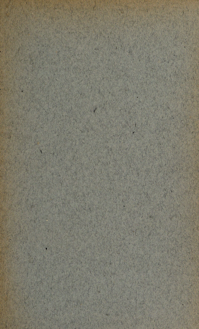 wm ' '■«,>'.» <’!{• '■' 'f'■i'-V-V'■ ’ i V. y. , 'M 'f;.'1 . ■': •ivfc,'jPv*w ■■>. •< ■' %.'• ' i m ■ 'V.. ;■/■ . >fW :•■■■■■'■■...-. Vl.-.t' r< %:*■■■■:. y :;■ ■ ■ , y.- ■ v, . j.<■ „y'■/. >:.VygV y- .1 ■ > t ss$si '7^ W pW if' .iv'' ‘'/'.yt ;,y(V X&W-if \X- \~ p'VW’1 i- ’■ ,• y; •,> 'pPPp :v •''v-H»ixY' ; ■■- *^:r< P SfpW * ••-' ' -/ #* - 4 ' A; ■*'■ , y v'i.: ' I W «1# ■ ■ : ö * i pÄ ip . | PI l ■ |#tp I • ilifiil iP ' ? . 4pP / i $ , ■ ÄÄi l ,:W v v mi ä| ' ' ' fe - Mil i tPWP : ' ; - ;; r; *B WgyAhf yyMk;W!#:TkmM . kW .fPpPP pVy-pYptPAf p pg- v.-.>''>/:p|v,4ppt;p;pj,;i 1'-. i,:'.V--PP 3\v? V • - - ; . .( • ... , , *.• ■ t ■ .. Y>-, • A ‘ \ ■' , '-■ ; ' ■ ■ . • y. ' • , ' te ., r ' mit ■ m l i Iä I 11 M i pp P'V :PP‘ W|iv/#pV'; • V'-i ■ < ■' ■ A :>.i ./A ü pvl Ap/' )»al , v-i-'g V, '-■KjTfrt. ::;4 i '.-'.v Yw , ' BP i ' ■VV.V Ö p I tvp'V:! 11 ' ■ ■■.. ■ .-: i# Y/pP'p * Af : ; V V ?l 1 ):-■)■’ r . ;/... x°- J pfel tr g'l ■p A,Ä r ■ KAVypT ^■-V, J 1,1 ' v'A'gg V, 4Ä# S- Jilj *d m ' K , ■ ?: f-l'V 1 ' ■ - Pjv ■ V-' ■ VI; f- !■■ 8 Äp ‘ v 'V;.‘ . . •. : . ■ ■ '/■■■ ,-. ■ 1 ■■ , 'iM .;',■ - V ■■--■ •/• . tSffsKi3 Ä - -B* ' . ' :g#0’;fy S; mm i'g'gäg: ^ >r‘V;AV® .y-i ■kz-x'**. VS« SMtii mM töSfll hbriivmh raP’r 't ' P 'j- >•. pJaP1 . gig;« .:, ;k h ; t;Sl P.pi'Ai k •■ .■•«*?>■ v,v-'! -V' i/.r i . ' . V A - Vph Am- rn *£>/•< ■(?>>’ ■ grfe' 4r «••>; ; ),■; i® 'f'V| p ■■■ :• ■ V . ** .\ . r:. ; k k k\ g t .- ' ^ ■ :■ ly' y &} ; , ' . ’' ' .. V ■ «9 a n I 1 I : b i 'tPP'H',7vH:;rP ■■' ••*, '• . s.;',' ■*' :pp'r- d,i; ’ .' ' » ÄÄgtell'M A-rM ’l VV.' fk Ül pV' g , ■:!;/''vy:k gg/gk'B, i.7-. ■- 'i?l giY V'jWpk •wJ0m xmiätM Pf »Vfci 'v# V ■ :p . A ;Y pil 'Vf'4 8g;' -:,.PpY * A dm'b \j*r: {&,<<:■* p. \ i: •pppkY;-'’' j.A;: p.p;: :p ;_• > p/ 8 tp;,\;‘:' g . . Yppp •gr/« | ; . .«f . •: i, • . ■ • -\ • ■■<■/ ■ ; 4: . i rg p- ■ f .v.iV, * ■ - '• . > i a\1 } \v-/ * /; \p.T / ^ Piv' p'4'Sv ^ *• T V^V ^ yI‘;% ■' ■ fck«*BtakfgSte-i ; 7 ), jitwy i# If 'V K-py rnßS&Mmmmm §1 . ... titwrMM'fM ■,fts ig m - m . vkk; - g kV ' ' ■ IP !'Ä| 0idf$m: ! s ' I I I I 111 g * . ; , < : . i . m ry ry yi '/•'■■■>'&: 'Cjvv ;■■■■ k-.B'i V- k; > s;v>V'^:'Bk#'; :g • ' |Ä p .r -y' » 'V;J ,Bl B y B-: ■ ' ... y:,B . i B. . m B B-1 Bl ■ ' ' 1 | 1 » S ' ' PPPS 4»MI y ■ y - m -4 -■•■ A . / ' V : B 8.b';: { . p;..-!v gBÄ'h ■ ■ ■: kW'.. yB:.-\ yf'B^JB. .y' •£ü •. Vyyp pv % P -•(•'it -jV -V-i, ,.v- J ■•■ .-V -PVr /Ä.ir.r--- . V - y ' -P ‘ £, / S • • A\' ' \ ly, Vvv l i),.s v o,k' i A • ' •’-.iPV. v •• / «•» V, . rK''Y' V ' ! y ■ ; i ' IpaIVpppÄp ■■' . . mm hM: * B ■ X’ .* i'1 B'' ■>•■ ■■•■> B.K . . '■ ■'■! .. ,,, . yy ■ _j ■ > ■ j , ; P‘v: U'y^.*1 iM ;pp'■hMßmJX SüSWM « wgp« iip#' ipi# , ■■ ■■' f?* W-V » ppp m „n.;J-f• V7.A . wf-JJÖB ; ... iü