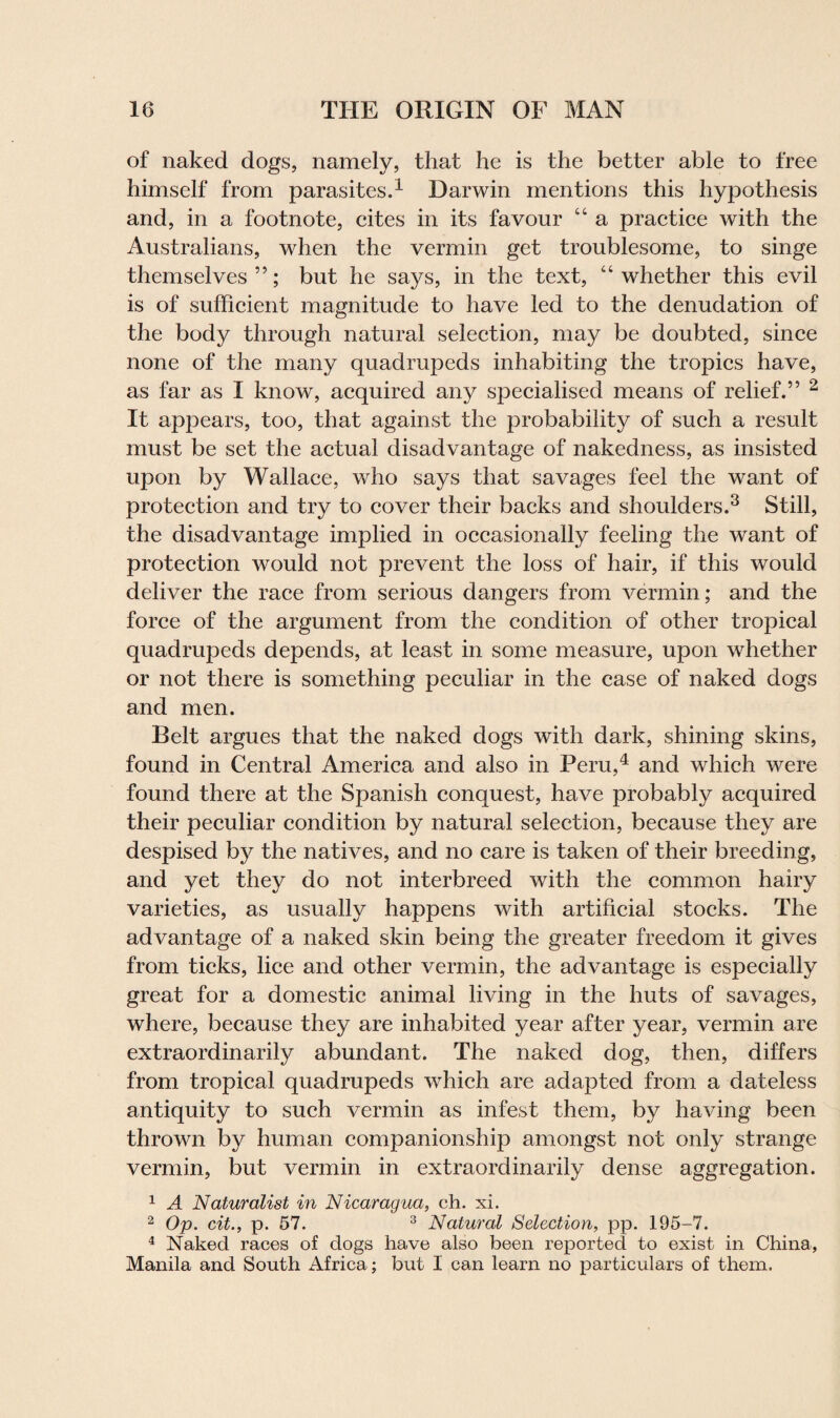 of naked dogs, namely, that he is the better able to free himself from parasites.1 Darwin mentions this hypothesis and, in a footnote, cites in its favour “ a practice with the Australians, when the vermin get troublesome, to singe themselves”; but he says, in the text, “whether this evil is of sufficient magnitude to have led to the denudation of the body through natural selection, may be doubted, since none of the many quadrupeds inhabiting the tropics have, as far as I know, acquired any specialised means of relief.” 2 It appears, too, that against the probability of such a result must be set the actual disadvantage of nakedness, as insisted upon by Wallace, who says that savages feel the want of protection and try to cover their backs and shoulders.3 Still, the disadvantage implied in occasionally feeling the want of protection would not prevent the loss of hair, if this would deliver the race from serious dangers from vermin; and the force of the argument from the condition of other tropical quadrupeds depends, at least in some measure, upon whether or not there is something peculiar in the case of naked dogs and men. Belt argues that the naked dogs with dark, shining skins, found in Central America and also in Peru,4 and which were found there at the Spanish conquest, have probably acquired their peculiar condition by natural selection, because they are despised by the natives, and no care is taken of their breeding, and yet they do not interbreed with the common hairy varieties, as usually happens with artificial stocks. The advantage of a naked skin being the greater freedom it gives from ticks, lice and other vermin, the advantage is especially great for a domestic animal living in the huts of savages, where, because they are inhabited year after year, vermin are extraordinarily abundant. The naked dog, then, differs from tropical quadrupeds which are adapted from a dateless antiquity to such vermin as infest them, by having been thrown by human companionship amongst not only strange vermin, but vermin in extraordinarily dense aggregation. 1 A Naturalist in Nicaragua, ch. xi. 2 Op. cit., p. 57. 3 Natural Selection, pp. 195-7. 4 Naked races of dogs have also been reported to exist in China, Manila and South Africa; but I can learn no particulars of them.