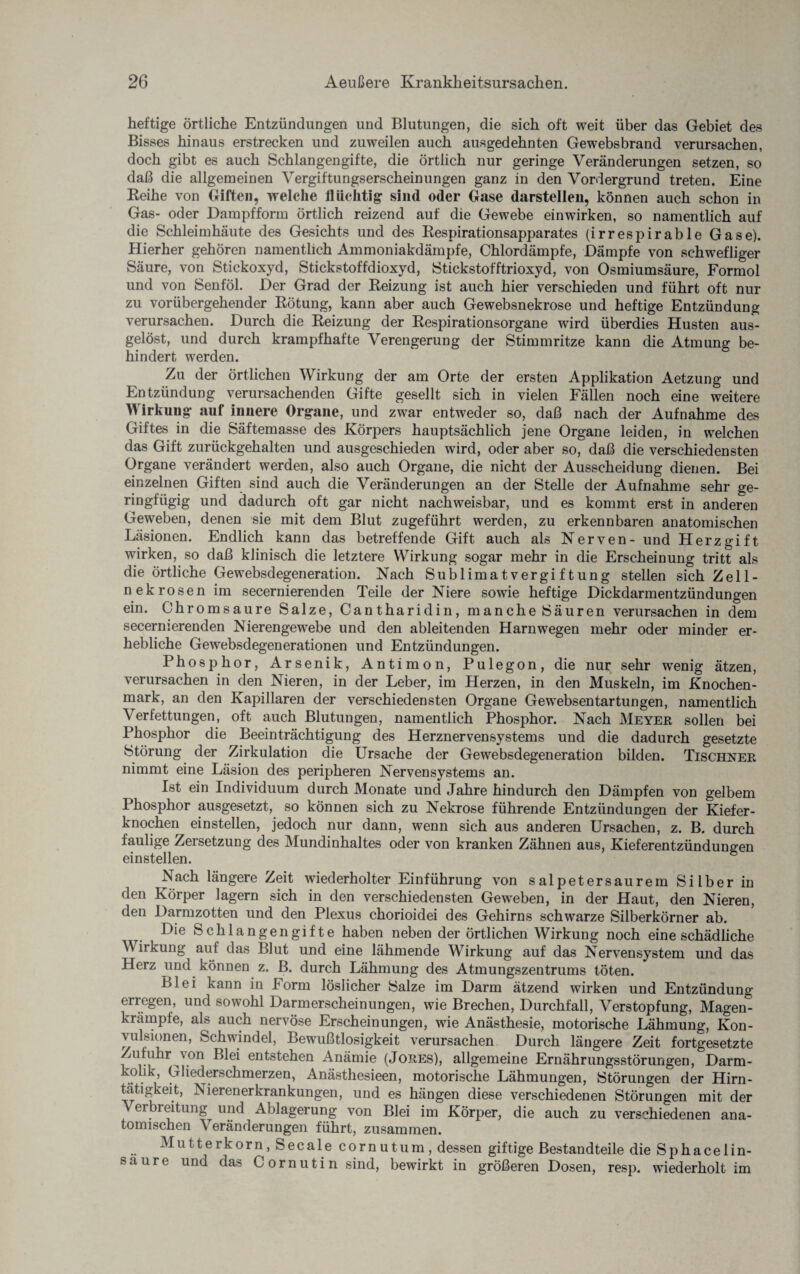 heftige örtliche Entzündungen und Blutungen, die sich oft weit über das Gebiet des Bisses hinaus erstrecken und zuweilen auch ausgedehnten Gewebsbrand verursachen, doch gibt es auch Schlangengifte, die örtlich nur geringe Veränderungen setzen, so daß die allgemeinen Vergiftungserscheinungen ganz in den Vordergrund treten. Eine Reihe von Giften, welche flüchtig sind oder Gase darstellen, können auch schon in Gas- oder Dampfform örtlich reizend auf die Gewebe einwirken, so namentlich auf die Schleimhäute des Gesichts und des Respirationsapparates (irrespirable Gase). Hierher gehören namentlich Ammoniakdämpfe, Chlordämpfe, Dämpfe von schwefliger Säure, von Stickoxyd, Stickstoffdioxyd, Stickstoffdioxyd, von Osmiumsäure, Formol und von Senföl. Der Grad der Reizung ist auch hier verschieden und führt oft nur zu vorübergehender Rötung, kann aber auch Gewebsnekrose und heftige Entzündung verursachen. Durch die Reizung der Respirationsorgane wird überdies Husten aus¬ gelöst, und durch krampfhafte Verengerung der Stimmritze kann die Atmung be¬ hindert werden. Zu der örtlichen Wirkung der am Orte der ersten Applikation Aetzung und Entzündung verursachenden Gifte gesellt sich in vielen Fällen noch eine weitere Wirkung auf innere Organe, und zwar entweder so, daß nach der Aufnahme des Giftes in die Säftemasse des Körpers hauptsächlich jene Organe leiden, in welchen das Gift zurückgehalten und ausgeschieden wird, oder aber so, daß die verschiedensten Organe verändert werden, also auch Organe, die nicht der Ausscheidung dienen. Bei einzelnen Giften sind auch die Veränderungen an der Stelle der Aufnahme sehr ge- ringfügig und dadurch oft gar nicht nachweisbar, und es kommt erst in anderen Geweben, denen sie mit dem Blut zugeführt werden, zu erkennbaren anatomischen Läsionen. Endlich kann das betreffende Gift auch als Nerven- und Herzgift wirken, so daß klinisch die letztere Wirkung sogar mehr in die Erscheinung tritt als die örtliche Gewebsdegeneration. Nach Sublimatvergiftung stellen sich Zell¬ nekrosen im secernierenden Teile der Niere sowie heftige Dickdarmentzündungen ein. Chromsaure Salze, Cantharidin, manche Säuren verursachen in dem secernierenden Nierengewebe und den ableitenden Harn wegen mehr oder minder er¬ hebliche Gewebsdegenerationen und Entzündungen. Phosphor, Arsenik, Antimon, Pulegon, die nur sehr wenig ätzen, verursachen in den Nieren, in der Leber, im Herzen, in den Muskeln, im Knochen¬ mark, an den Kapillaren der verschiedensten Organe Gewebsentartungen, namentlich Verfettungen, oft auch Blutungen, namentlich Phosphor. Nach Meyer sollen bei Phosphor die Beeinträchtigung des Herznervensystems und die dadurch gesetzte Störung der Zirkulation die Ursache der Gewebsdegeneration bilden. Tischner nimmt eine Läsion des peripheren Nervensystems an. Ist ein Individuum durch Monate und Jahre hindurch den Dämpfen von gelbem Phosphor ausgesetzt, so können sich zu Nekrose führende Entzündungen der Kiefer¬ knochen einstellen, jedoch nur dann, wenn sich aus anderen Ursachen, z. B. durch faulige Zersetzung des Mundinhaltes oder von kranken Zähnen aus, Kieferentzündungen einstellen. Nach längere Zeit wiederholter Einführung von salpetersaurem Silber in den Körper lagern sich in den verschiedensten Geweben, in der Haut, den Nieren, den Darmzotten und den Plexus chorioidei des Gehirns schwarze Silberkörner ab. Die Schlangengifte haben neben der örtlichen Wirkung noch eine schädliche Wirkung auf das Blut und eine lähmende Wirkung auf das Nervensystem und das Herz und können z. B. durch Lähmung des Atmungszentrums töten. Blei kann in Form löslicher Salze im Darm ätzend wirken und Entzündung erregen, und sowohl Darmerscheinungen, wie Brechen, Durchfall, Verstopfung, Magen¬ krämpfe, als auch nervöse Erscheinungen, wie Anästhesie, motorische Lähmung, Kon¬ vulsionen, Schwindel, Bewußtlosigkeit verursachen Durch längere Zeit fortgesetzte Zufuhr^\on Blei entstehen Anämie (Jores), allgemeine Ernährungsstörungen, Darm- kohk, Gliederschmerzen, Anästhesieen, motorische Lähmungen, Störungen der Hirn- tätigkeit, Nierenerkrankungen, und es hängen diese verschiedenen Störungen mit der erbreitung und Ablagerung von Blei im Körper, die auch zu verschiedenen ana¬ tomischen Veränderungen führt, zusammen. Mutterkorn, Secale cornutum, dessen giftige Bestandteile die Sphacelin- saure und das Cornutin sind, bewirkt in größeren Dosen, resp. wiederholt im