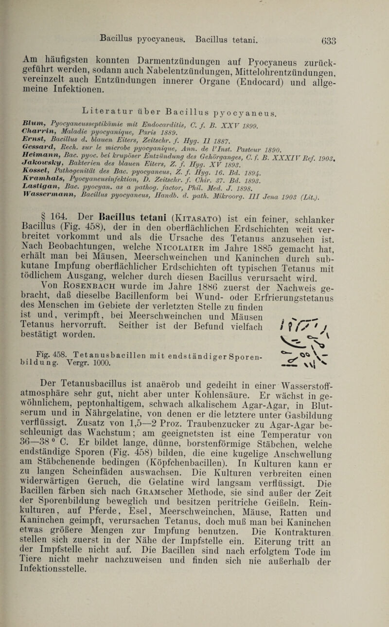 Bacillus pyocyaneus. Bacillus tetani. Am häufigsten konnten Darmentzündungen auf Pyocyaneus zurück¬ geführt weiden, sodann auch Nabelentzündungen, Mittelohrentzündungen, vereinzelt auch Entzündungen innerer Organe (Endocard) und allge¬ meine Infektionen. Literatur über Bacillus pyocyaneus. Blum, Pyocyaneusseptikämie mit Endocarditis, C. f. B. XXV 1899. Charrin, Maladie pyocyanique, Paris 1889. Ernst, Bacillus d. blauen Eiters, Zeitschr. f. Hyg. 11 1887. Gessard, Rech, sur le microbe pyocyanique, Ann. de l’Inst. Pasteur 1890. Heimann, Bac. pyoc. bei krupöser Entzündung des Gehörqanqes, C. f. B. XXXIV Ref 790? JTakoivsky, Bakterien des blauen Eiters, Z. f. Hyg. XV 1893. * ‘ Kossel, Pathogenität des Bac. pyocyaneus, Z. f. Hyg. 16. Bd. 1894. Kramhals, Pyocyaneusinfektion, D. Zeitschr. f. Ghir. 37. Bd. 1893. Lästig an, Bac. pyocyan. as a pathog. factor, Phil. Med. J. 1898. Wassermann, Bacillus pyocyaneus, Handb. d. path. Mikroorg. III Jena 1903 (Bit.). § 164-. Der Bacillus tetani (Kitasato) ist ein feiner, schlanker Bacillus (Fig. 458), der in den oberflächlichen Erdschichten weit ver¬ breitet vorkommt und als die Ursache des Tetanus anzusehen ist Nach Beobachtungen, welche Nicolaier im Jahre 1885 gemacht hat, erhält man bei Mäusen, Meerschweinchen und Kaninchen durch sub¬ kutane Impfung oberflächlicher Erdschichten oft typischen Tetanus mit tödlichem Ausgang, welcher durch diesen Bacillus verursacht wird. \ on Bosenbach wurde im Jahre 1886 zuerst der Nachweis ge¬ bracht, daß dieselbe Bacillenform bei Wund- oder Erfrierungstetanus des Menschen im Gebiete der verletzten Stelle zu finden ist und, verimpft, bei Meerschweinchen und Mäusen Tetanus hervorruft. Seither ist der Befund vielfach bestätigt worden. Fig. 458. Tetanusbacillen mit endständiger Sporen¬ bildung. Yergr. 1000. Dei Tetanusbacillus ist anaerob und gedeiht in einer Wasserstoff¬ atmosphäre sehr gut, nicht aber unter Kohlensäure. Er wächst in ge¬ wöhnlichem, peptonhaltigem, schwach alkalischem Agar-Agar, in Blut¬ serum und in Nährgelatine, von denen er die letztere unter Gasbildung verflüssigt. Zusatz von 1,5—2 Proz. Traubenzucker zu Agar-Agar be¬ schleunigt das Wachstum; am geeignetsten ist eine Temperatur von 36—38 0 C. Er bildet lange, dünne, borstenförmige Stäbchen, welche endständige Sporen (Fig. 458) bilden, die eine kugelige Anschwellung am Stäbchenende bedingen (Köpfchenbacillen). In Kulturen kann er zu langen Scheinfäden auswachsen. Die Kulturen verbreiten einen widerwärtigen Geruch, die Gelatine wird langsam verflüssigt. Die Bacillen färben sich nach GRAMscher Methode, sie sind außer der Zeit der Sporenbildung beweglich und besitzen peritriche Geißeln. Rein¬ kulturen, auf Pferde, Esel, Meerschweinchen, Mäuse, Batten und Kaninchen geimpft, verursachen Tetanus, doch muß man bei Kaninchen etwas größere Mengen zur Impfung benutzen. Die Kontrakturen stellen sich zuerst in der Nähe der Impfstelle ein. Eiterung tritt an der Impfstelle nicht auf. Die Bacillen sind nach erfolgtem Tode im Tiere nicht mehr nachzuweisen und finden sich nie außerhalb der Infektionsstelle.