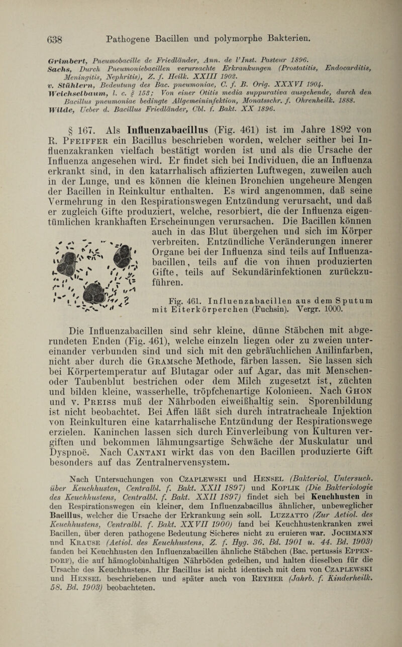 Grimbert, Pneumobacille de Friedländer, Ann. de l’Inst. Pasteur 1896. Sachs, Durch Pneumoniebacillen verursachte Erkrankungen (Prostatitis, Endocarditis, Meningitis, Nephritis), Z. f. Heilk. XXIII 1902. v. Stühlern, Bedeutung des Bac. pneumoniae, C. f. B. Orig. XXXVI 190J^. Weichselbaum, l. c. § 158; Von einer Otitis media suppurativa ausgehende, durch den Bacillus pneumoniae bedingte AUgemeininfektion, Monatsschr. f. Ohrenheilk. 1888. Wilde, Ueber d. Bacillus Friedländer, Cbl. f. Bakt. XX 1896. § 167. Als Influenzabacillvis (Fig. 461) ist im Jahre 1892 von R. Pfeiffer ein Bacillus beschrieben worden, welcher seither bei In¬ fluenzakranken vielfach bestätigt worden ist und als die Ursache der Influenza angesehen wird. Er findet sich bei Individuen, die an Influenza erkrankt sind, in den katarrhalisch affizierten Luftwegen, zuweilen auch in der Lunge, und es können die kleinen Bronchien ungeheure Mengen der Bacillen in Reinkultur enthalten. Es wird angenommen, daß seine Vermehrung in den Respirationswegen Entzündung verursacht, und daß er zugleich Gifte produziert, welche, resorbiert, die der Influenza eigen¬ tümlichen krankhaften Erscheinungen verursachen. Die Bacillen können auch in das Blut übergehen und sich im Körper verbreiten. Entzündliche Veränderungen innerer Organe bei der Influenza sind teils auf Influenza¬ bacillen, teils auf die von ihnen produzierten Gifte, teils auf Sekundärinfektionen zurückzu¬ führen. Fig. 461. Influenzabacillen aus dem Sputum mit Eiterkörperchen (Fuchsin). Vergr. 1000. Die Influenzabacillen sind sehr kleine, dünne Stäbchen mit abge¬ rundeten Enden (Fig. 461), welche einzeln liegen oder zu zweien unter¬ einander verbunden sind und sich mit den gebräuchlichen Anilinfarben, nicht aber durch die GRAMsche Methode, färben lassen. Sie lassen sich bei Körpertemperatur auf Blutagar oder auf Agar, das mit Menschen- oder Taubenblut bestrichen oder dem Milch zugesetzt ist, züchten und bilden kleine, wasserhelle, tröpfchenartige Kolonieen. Nach Ghon und v. Preiss muß der Nährboden eiweißhaltig sein. Sporenbildung ist nicht beobachtet. Bei Affen läßt sich durch intratracheale Injektion von Reinkulturen eine katarrhalische Entzündung der Respirationswege erzielen. Kaninchen lassen sich durch Einverleibung von Kulturen ver¬ giften und bekommen lähmungsartige Schwäche der Muskulatur und Dyspnoe. Nach Cantani wirkt das von den Bacillen produzierte Gift besonders auf das Zentralnervensystem. Nach Untersuchungen von Czaplewski und Hensel (Bakteriol. Untersuch. über Keuchhusten, Centralbl. f. Bakt. XXU 1897) und Koplik (Die Bakteriologie des Keuchhustens, Centralbl. f. Bakt. XXII 1897) findet sich bei Keuchhusten in den Respirationswegen ein kleiner, dem Influenzabacillus ähnlicher, unbeweglicher Bacillus, welcher die Ursache der Erkrankung sein soll. Luzzatto (Zur Aetiol. des Keuchhustens, Centralbl. f. Bakt. XXVII 1900) fand bei Keuchhustenkranken zwei Bacillen, über deren pathogene Bedeutung Sicheres nicht zu eruieren war. Jochmann nnd Krause (Aetiol. des Keuchhustens, Z. f. Hyg. 36. Bd. 1901 u. 44. Bd. 1903) fanden bei Keuchhusten den Influenzabacillen ähnliche Stäbchen (Bac. pertussis Eppen¬ dorf), die auf hämoglobinhaltigen Nährböden gedeihen, und halten dieselben für die Ursache des Keuchhustens. Ihr Bacillus ist nicht identisch mit dem von Czaplewski und Hensel beschriebenen und später auch von Reyher (Jahrb. f. Kinderheilk. 58. Bd. 1903) beobachteten.