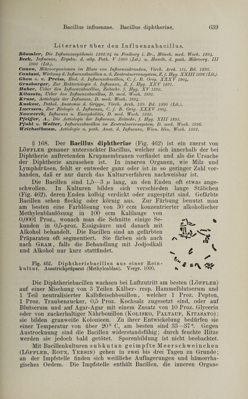 Literatur über den Influenzabacillus. JSaumleVf Die Influenzaepidemie 1893/94 in Freiburg i. Br., Münch, med. Woch. 1894• Beck, Influenza, Ergehn, d. allg. Path. V 1900 (Lit.) u. Handb. d. patli. Mikroorg. III 1903 (Lit.). Canon, Mikroorganismen im Blute von Influenzakranken, Virch. Arch. 131. Bd. 1893. Cantani, Wirkung d. Influenzabacillen a. d. Zentralnervensystem, Z.f. Hyg. XXIII1896 (Lit.). Ghon u. v. Preiss, Biol. d. Influenzabacillen, C. f. B. Orig. XXXV 1904. Gvasburgev, Zur Bakteriologie d. Influenza, Z. f. Hyg. XXV 1897. Hübet', Ueber den Influenzabacillus, Zeitsclir. f. Hyg. XV 1893. Kitasato, Ueber den Influenzabacillus, D. med. Woch. 1892. Kruse, Aetiologie der Influenza, D. med. Woch. 1894. Kuskow, Pathol. Anatomie d. Grippe, Virch. Arch. 139. Bd. 1895 (Lit.). Luerssen, Zur Biologie d. Influenza, C. f. B. Orig. XXXV 1904. Nauwerck, Influenza u. Encephalitis, D. med. Woch. 1895. Pfeiffer, A., Die Aetiologie der Influenza, Zeitschr. f. Hyg. XIII 1893. Pfuhl u. Walter, Influenzabacillen im Zentralnervensystem, D. med. Woch. 1896. Weichselbauul, Aetiologie u. path. Anat. d. Influenza, Wien. klin. Woch. 1892. § 168. Der Bacillus diplitlieriae (Fig. 462) ist ein zuerst von Löffler genauer untersuchter Bacillus, welcher sich innerhalb der bei Diphtherie auftretenden Krupmembranen vorfindet und als die Ursache der Diphtherie anzusehen ist. In inneren Organen, wie Milz und Lymphdrüsen, fehlt er entweder ganz oder ist in so geringer Zahl vor¬ handen, daß er nur durch das Kulturverfahren nachweisbar ist. Die Bacillen sind 1,5—3 /u lang, an den Enden oft etwas ange¬ schwollen. In Kulturen bilden sich verschieden lange Stäbchen (Fig. 462), deren Enden kolbig verdickt oder zugespitzt sind. Gefärbte Bacillen sehen fleckig oder körnig aus. Zur Färbung benutzt man am besten eine Farblösung von 30 ccm konzentrierter alkoholischer Methylenblaulösung in 100 ccm Kalilauge von 0,0001 Proz., wonach man die Schnitte einige Se¬ kunden in 0,5-proz. Essigsäure und danach mit Alkohol behandelt. Die Bacillen sind an gefärbten Präparaten oft segmentiert. Sie färben sich auch nach Gram, falls die Behandlung mit Jodjodkali und Alkohol nur kurz stattfindet. Fig. 462. Diphtheriebacillen aus einer Rein¬ kultur. Ausstrichpräparat (Methylenblau). Vergr. 1000. Die Diphtheriebacillen wachsen bei Luftzutritt am besten (Löffler) auf einer Mischung von 3 Teilen Kälber- resp. Hammelblutserum und 1 Teil neutralisierter Kalbfleischbouillon, welcher 1 Proz. Pepton, 1 Proz. Traubenzucker, 0,5 Proz. Kochsalz zugesetzt sind, oder auf Blutserum und auf Agar-Agar mit einem Zusatz von 10 Proz. Glycerin oder von zuckerhaltiger Nährbouillon (Kolisko, Paltauf, Kitasato) ; sie bilden grauweiße Kolonieen. Zu ihrer Entwickelung bedürfen sie einer Temperatur von über 20° C, am besten sind 33—37°. Gegen Austrocknung sind die Bacillen widerstandsfähig; durch feuchte Hitze werden sie jedoch bald getötet. Sporenbildung ist nicht beobachtet. Mit Bacillenkulturen subkutan geimpfte Meerschweinchen (Löffler, Roux, Yersin) gehen in zwei bis drei Tagen zu Grunde; an der Impfstelle finden sich weißliche Auflagerungen und hämorrha¬ gisches Oedem. Die Impfstelle enthält Bacillen, die inneren Organe