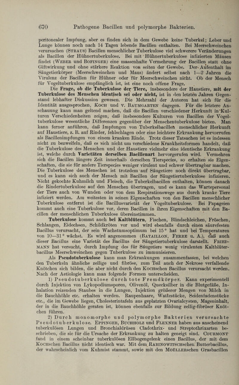 peritonealer Impfung, aber es finden sich in dem Gewebe keine Tuberkel; Leber und Lunge können noch nach 14 Tagen lebende Bacillen enthalten. Bei Meerschweinchen verursachen (Straus) Bacillen menschlicher Tuberkulose viel schwerere Veränderungen als Bacillen der Hühnertuberkulose. Bei mit' Hühnertuberkulose infizierten Mäusen findet (Weber und Bofestger) eine massenhafte Vermehrung der Bacillen statt ohne Giftwirkung und ohne stärkere Reaktion von seiten der Gewebe. Der* Aufenthalt im Säugetierkörper (Meerschweinchen und Maus) ändert selbst nach 1—2 Jahren die Virulenz der Bacillen für Hühner oder für Meerschweinchen nicht. Ob der Mensch für Vogeltuberkulose empfänglich ist, ist eine noch offene Frage. Die Frage, ob die Tuberkulose der Tiere, insbesondere der Haustiere, mit der Tuberkulose des Menschen identisch sei oder nicht, ist in den letzten Jahren Gegen¬ stand lebhafter Diskussion gewesen. Die Mehrzahl der Autoren hat sich für die Identität ausgesprochen, Koch und v. Baumgarten dagegen. Für die letztere An¬ schauung kann man geltend machen, daß die Bacillen verschiedener Herkunft in‘Kul¬ turen Verschiedenheiten zeigen, daß insbesondere Kulturen von Bacillen der Vogel¬ tuberkulose wesentliche Differenzen gegenüber der Menschentuberkulose bieten. Man kann ferner anführen, daß Impfungen von Tuberkelbacilleti menschlicher Herkunft auf Haustiere, z. B. auf Rinder, fehlschlagen oder eine leichtere Erkrankung herv.orrufen als Bacillenimpfungen von einem kranken Rinde. Trotz dieser Tatsachen ist es indessen nicht zu bezweifeln, daß es sich nicht um verschiedene Krankheitsformen handelt, daß die Tuberkulose des Menschen und der. Haustiere vielmehr eine identische Erkrankung ist, welche durch Varietäten derselben Bacillenart hervorgerufen wird. Vermehren sich die Bacillen längere Zeit innerhalb derselben Tierspecies, so erhalten sie Eigen¬ schaften, die sie für andere Tierspecies weniger virulent und schwer übertragbar machen. Die Tuberkulose des Menschen ist trotzdem auf Säugetiere noch direkt übertragbar, und es kann sich auch der Mensch mit Bacillen der Säugetiertuberkulose infizieren. Nicht gekochte Kuhmilch und Fleisch, die Tuberkelbacillen enthalten, können danach die Rindertuberkulose auf den Menschen übertragen, und es kann das Wartepersonai der Tiere auch von Wunden oder von dem Respirationswege aus durch kranke Tiere infiziert werden. Am weitesten in seinen Eigenschaften von den Bacillen menschlicher Tuberkulose entfernt ist die Bacillusvarietät der Vogel tuberkulöse. Bei Papageien kommt auch eine Tuberkulose vor, deren Bacillen in ihren Eigenschaften mit den Ba¬ cillen der menschlichen Tuberkulose übereinstimmen. Tuberkulose kommt auch bei Kaltblütern, Fischen, Blindschleichen, Fröschen, Schlangen, Eidechsen, Schildkröten vor und wird ebenfalls durch einen säurefesten Bacillus verursacht, der sein Wachstumsoptimum bei 15 0 hat und bei Temperaturen von 10—310 wächst. Es wird angenommen (Bataillon, Ferre u. A.), cfaß auch dieser Bacillus eine Varietät des Bacillus der Säugetiertuberkulose darstellt. Fried¬ mann hat versucht, durch Impfung des für Säugetiere wenig virulenten Kaltblüter¬ bacillus Meerschweinchen gegen Tuberkulose zu immunisieren. Als Pseudotuberkulose kann man Erkrankungen zusammenfassen, bei welchen den Tuberkeln ähnliche zellige und fibröse, zum Teil auch der Nekrose verfallende Knötchen sich bilden, die aber nicht durch den KocHschen Bacillus verursacht werden. Nach der Aetiologie kann man folgende Formen unterscheiden. 1) Pseudotuberkulose durch tote Fremdkörper. Kann experimentell durch Injektion von Lykopodiumsporen, Olivenöl, Quecksilber in die Blutgefäße, In¬ halation reizenden Staubes in die Lungen, Injektion größerer Mengen von Milch in die Bauchhöhle etc. erhalten werden. Raupenhaare, Wattestücke, Seidenfadenstücke etc., die im Gewebe liegen, Cholesterintafeln aus geplatzten Ovarialcysten, Mageninhalt, der in die Bauchhöhle geraten ist, können ebenfalls zur Bildung zeilig-fibröser Knöt¬ chen führen. 2) Durch monomorphe und polymorphe Bakterien verursachte Pseudo tuberkulöse. Eppinger, Buchholz und Flexner haben aus anscheinend tuberkulösen Lungen und Bronchialdrüsen Cladothrix- und Streptothrixarten be¬ schrieben, die sie für die Ursache der Erkrankung zu halten geneigt sind. Courmont fand in einem scheinbar tuberkulösen Ellbogengelenk einen Bacillus, der mit dem KocHschen Bacillus nicht identisch war. Mit dem. RABiNOWiTSCHschen Butterbacillus, der wahrscheinlich vom Kuhmist stammt, sowie mit den MoELLERschen Grasbacillen