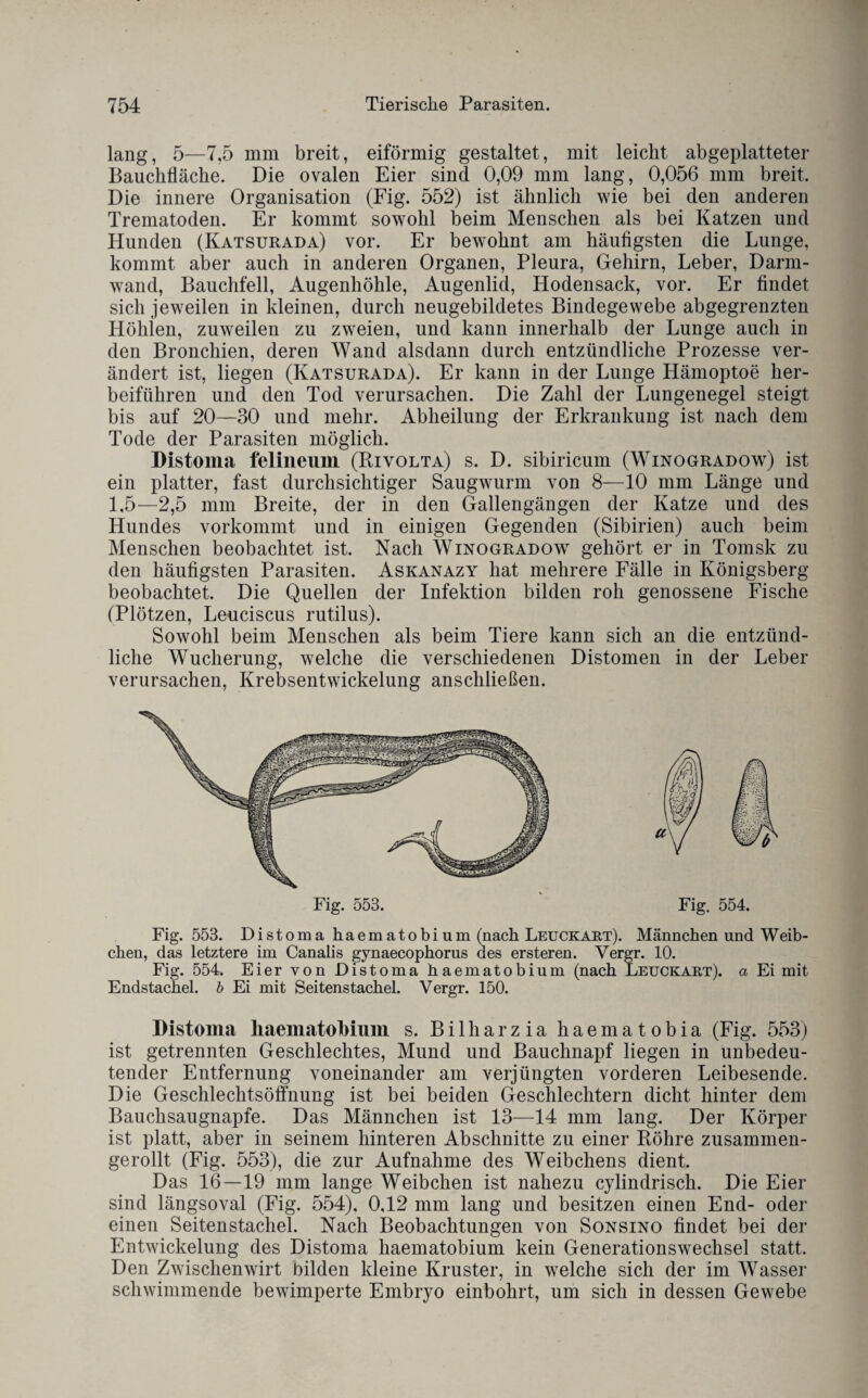 lang, 5—7,5 mm breit, eiförmig gestaltet, mit leicht abgeplatteter Bauchfläche. Die ovalen Eier sind 0,09 mm lang, 0,056 mm breit. Die innere Organisation (Fig. 552) ist ähnlich wie bei den anderen Trematoden. Er kommt sowohl beim Menschen als bei Katzen und Hunden (Katsurada) vor. Er bewohnt am häufigsten die Lunge, kommt aber auch in anderen Organen, Pleura, Gehirn, Leber, Darm¬ wand, Bauchfell, Augenhöhle, Augenlid, Hodensack, vor. Er findet sich jeweilen in kleinen, durch neugebildetes Bindegewebe abgegrenzten Höhlen, zuweilen zu zweien, und kann innerhalb der Lunge auch in den Bronchien, deren Wand alsdann durch entzündliche Prozesse ver¬ ändert ist, liegen (Katsurada). Er kann in der Lunge Hämoptoe her¬ beiführen und den Tod verursachen. Die Zahl der Lungenegel steigt bis auf 20—30 und mehr. Abheilung der Erkrankung ist nach dem Tode der Parasiten möglich. Distoma felineum (Rivolta) s. D. sibiricum (Winogradow) ist ein platter, fast durchsichtiger Saugwurm von 8—10 mm Länge und 1,5—2,5 mm Breite, der in den Gallengängen der Katze und des Hundes vorkommt und in einigen Gegenden (Sibirien) auch beim Menschen beobachtet ist. Nach Winogradow gehört er in Tomsk zu den häufigsten Parasiten. Askanazy hat mehrere Fälle in Königsberg beobachtet. Die Quellen der Infektion bilden roh genossene Fische (Plötzen, Leuciscus rutilus). Sowohl beim Menschen als beim Tiere kann sich an die entzünd¬ liche Wucherung, welche die verschiedenen Distomen in der Leber verursachen, Krebsentwickelung anschließen. Fig. 553. Fig. 554. Fig. 553. Distoma haematobium (nach Leuckart). Männchen und Weib- chen, das letztere im Canalis gynaecophorus des ersteren. Vergr. 10. Fig. 554. Eier von Distoma haematobium (nach Leuckart). a Ei mit Endstachel, b Ei mit Seitenstachel. Vergr. 150. Distoma liaematoMiiin s. Bilharzia haematobia (Fig. 553) ist getrennten Geschlechtes, Mund und Bauchnapf liegen in unbedeu¬ tender Entfernung voneinander am verjüngten vorderen Leibesende. Die Geschlechtsöffnung ist bei beiden Geschlechtern dicht hinter dem Bauchsaugnapfe. Das Männchen ist 13—14 mm lang. Der Körper ist platt, aber in seinem hinteren Abschnitte zu einer Röhre zusammen¬ gerollt (Fig. 553), die zur Aufnahme des Weibchens dient. Das 16 — 19 mm lange Weibchen ist nahezu cylindrisch. Die Eier sind längsoval (Fig. 554), 0,12 mm lang und besitzen einen End- oder einen Seiten Stachel. Nach Beobachtungen von Sonsino findet bei der Entwickelung des Distoma haematobium kein Generationswechsel statt. Den Zwischenwirt bilden kleine Kruster, in welche sich der im Wasser schwimmende bewimperte Embryo einbohrt, um sich in dessen Gewebe