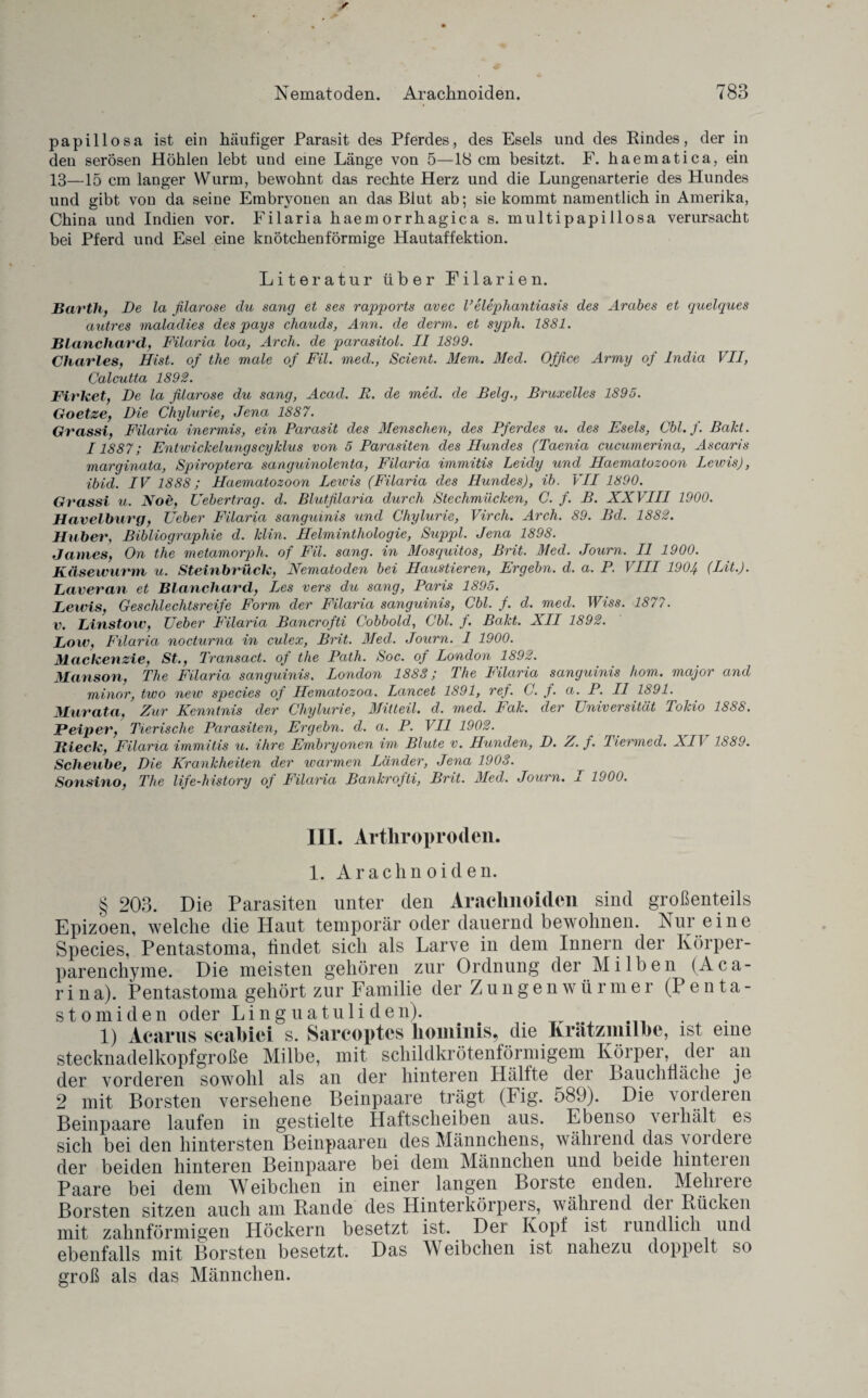 papillosa ist ein häufiger Parasit des Pferdes, des Esels und des Rindes, der in deu serösen Höhlen lebt und eine Länge von 5—18 cm besitzt. F. haematica, ein 13—15 cm langer Wurm, bewohnt das rechte Herz und die Lungenarterie des Hundes und gibt von da seine Embryonen an das Blut ab; sie kommt namentlich in Amerika, China und Indien vor. Filaria haem orrhagica s. multipapillosa verursacht bei Pferd und Esel eine knötchenförmige Hautaffektion. Literatur über Filarien. Bartli, De la filarose du sang et ses rapports avec Velepliantiasis des Arabes et quelques autres maladies des pays chauds, Ann. de derm. et syph. 1881. Blanchard, Filaria loa, Arch. de parasitol. II 1899. Charles, Hist, of the male of Fil. med., Scient. Mem. Med. Office Army of India VII, Calcutta 1892. Firket, De la filarose du sang, Acad. R. de med. de Belg., Bruxelles 1895. Goetze, Die Chylurie, Jena 1887. Grassi, Filaria inermis, ein Parasit des Menschen, des Pferdes u. des Esels, Cbl.f. Bäht. 11887; Entwickelungscyklus von 5 Parasiten des Hundes (Taenia cucumerina, Ascaris marginata, Spiroptera sanguinolenta, Filaria immitis Leidy und Haematozoon Lewis), ibid. IV 1888; Haematozoon Lewis (Filaria des Hundes), ib. VII 1890. Grassi u. Noe, Uebertrag. d. Blutfilaria durch Stechmücken, C. f. B. XXVIII 1900. Havelburg, Ueber Filaria sanguinis und Chylurie, Virch. Arch. 89. Bd. 1882. Huber, Bibliographie d. Hin. Helminthologie, Suppl. Jena 1898. James, On the metamorph. of Fil. sang, in Mosquitos, Brit. Med. Journ. II 1900. Käsewurm u. Steinbrück, Nematoden bei Haustieren, Ergehn, d. a. P. VIII 1904 (Int.). Laveran et Blanchard, Les vers du sang, Paris 1895. Lewis, Geschlechtsreife Form der Filaria sanguinis, Cbl. f. d. med. Wiss. 1877. v. Linstow, Ueber Filaria Bancrofti Cobbold, Cbl. f. Bakt. XII 1892. Low, Filaria nocturna in culex, Brit. Med. Journ. I 1900. Mackenzie, St., Transact. of the Path. Soc. of London 1892. Manson, The Filaria sanguinis. London 1888; The Filaria sanguinis hom. major and minor, two new species of Hematozoa, Lancet 1891, ref. C. f. a. P. II 1891. Murata, Zur Kenntnis der Chylurie, Mitteil. d. med. Fak. der Universität Tokio 1888, JPeiper, Tierische Parasiten, Ergehn, d. a. P. VII 1902. Bieck, Filaria immitis u. ihre Embryonen im Blute v. Hunden, D. Z. f. Tiermed. XIT 1889. Sclieube, Die Krankheiten der warmen Länder, Jena 1903. Sonsino, The life-history of Filaria Bankrofti, Brit. Med. Journ. I 1900. III. Artliroproden. 1. Arachnoiden. § 203. Die Parasiten unter den Arachnoiden sind großenteils Epizoen, welche die Haut temporär oder dauernd bewohnen. Nur eine Species, Pentastoma, findet sich als Larve in dem Innern der Körper¬ parenchyme. Die meisten gehören zur Ordnung der Milben (Aca- rina). Pentastoma gehört zur Familie der Zungenwürmer (Penta- stomiden oder Ling uatuli den). . 1) Acarus scabiei s. Sarcoptes hominis, die Krätzmilbe, ist eine stecknadelkopfgroße Milbe, mit schildkrötenförmigem Körper, der an der vorderen sowohl als an der hinteren Hälfte der Lauchfläche je 2 mit Borsten versehene Beinpaare trägt (big. 589). Die vorderen Beinpaare laufen in gestielte Haftscheiben aus. Ebenso verhält es sich bei den hintersten Beinpaaren des Männchens, während das vordere der beiden hinteren Beinpaare bei dem Männchen und beide hinteren Paare bei dem Weibchen in einer langen Loiste enden. Mein eie Borsten sitzen auch am Rande des Hinterkörpers, während dei Rücken mit zahnförmigen Höckern besetzt ist. Der Kopf ist rundlich und ebenfalls mit Borsten besetzt. Das Weibchen ist nahezu doppelt so groß als das Männchen.