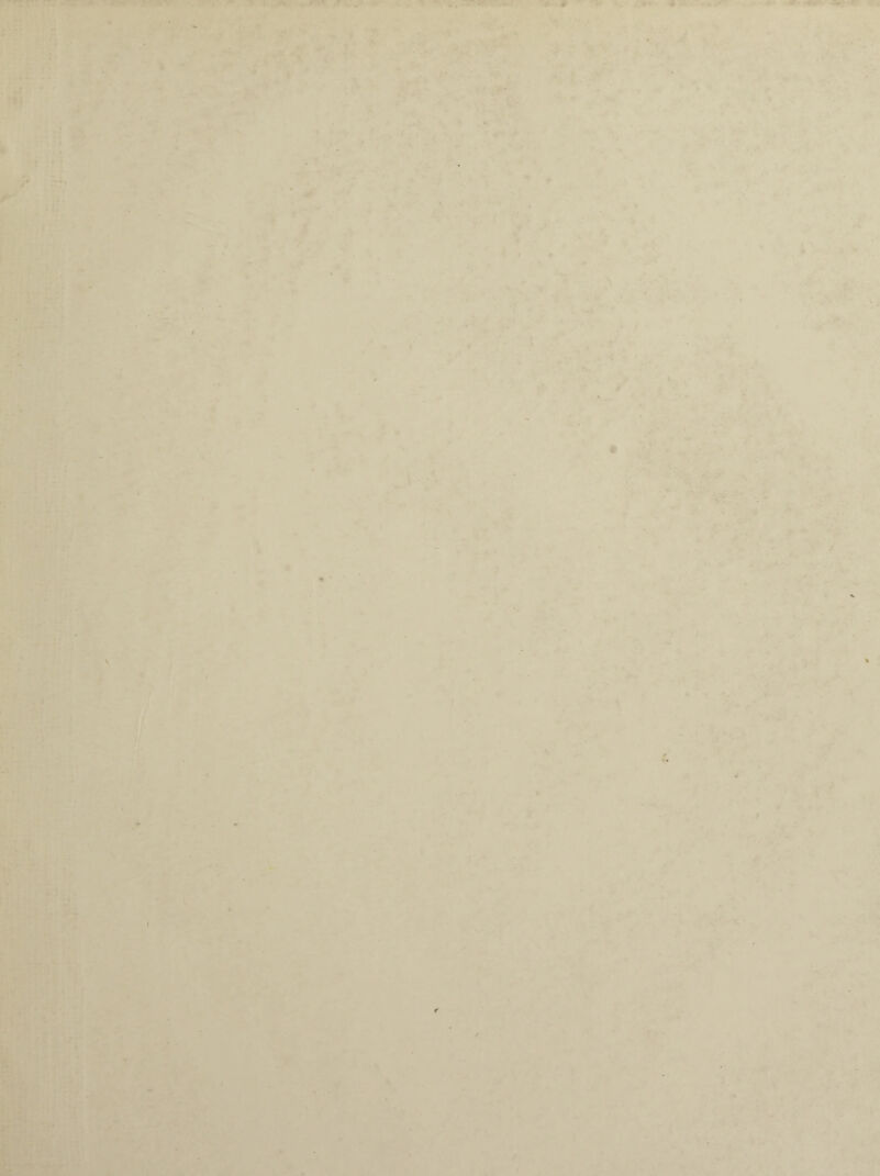 -■v: I \ • * > ' v; > -