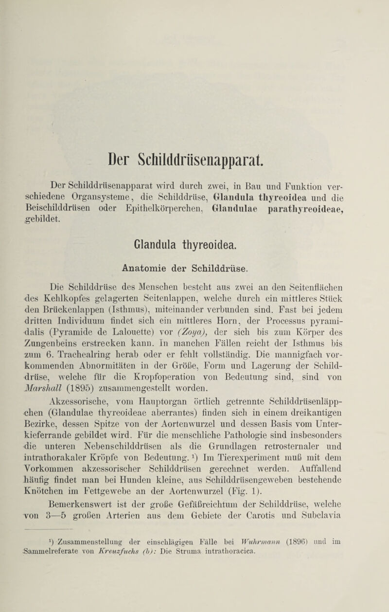 Der Scliikldriisenapparat. Der Schilddrüsenapparat wird durch zwei, in Bau und Funktion ver¬ schiedene Organsysteme, die Schilddrüse, Glandula thyreoidea und die Beischilddrüsen oder Epithelkörperchen, Glandulae paratliyreoideae, -gebildet. Glandula thyreoidea. Anatomie der Schilddrüse. Die Schilddrüse des Menschen besteht aus zwei an den Seitenflächen des Kehlkopfes gelagerten Seitenlappen, welche durch ein mittleres Stück den Brückenlappen (Isthmus), miteinander verbunden sind. Fast bei jedem dritten Individuum findet sich ein mittleres Horn, der Processus pyrami¬ dalis (Pyramide de Lalouette) vor (Zoya), der sich bis zum Körper des Zungenbeins erstrecken kann. In manchen Fällen reicht der Isthmus bis zum 6. Trachealring herab oder er fehlt vollständig. Die mannigfach vor¬ kommenden Abnormitäten in der Größe, Form und Lagerung der Schild¬ drüse, welche für die Kropfoperation von Bedeutung sind, sind von Marshall (1895) zusammengestellt worden. Akzessorische, vom Hauptorgan örtlich getrennte Schilddrüsenläpp¬ chen (Glandulae thyreoideae aberrantes) finden sich in einem dreikantigen Bezirke, dessen Spitze von der Aortenwurzel und dessen Basis vom Unter¬ kieferrande gebildet wird. Für die menschliche Pathologie sind insbesonders die unteren Nebenschilddrüsen als die Grundlagen retrosternaler und intrathorakaler Kröpfe von Bedeutung.x) Im Tierexperiment muß mit dem Vorkommen akzessorischer Schilddrüsen gerechnet werden. Auffallend häufig findet man bei Hunden kleine, aus Schilddrüsengeweben bestehende Knötchen im Fettgewebe an der Aortenwurzel (Fig. 1). Bemerkenswert ist der große Gefäßreichtum der Schilddrüse, welche von 3—5 großen Arterien aus dem Gebiete der Carotis und Subclavia *) Zusammenstellung der einschlägigen Fälle bei Wuhrmann (1896) und im Sammelreferate von Kreuzfuchs (b): Die Struma intrathoracica.