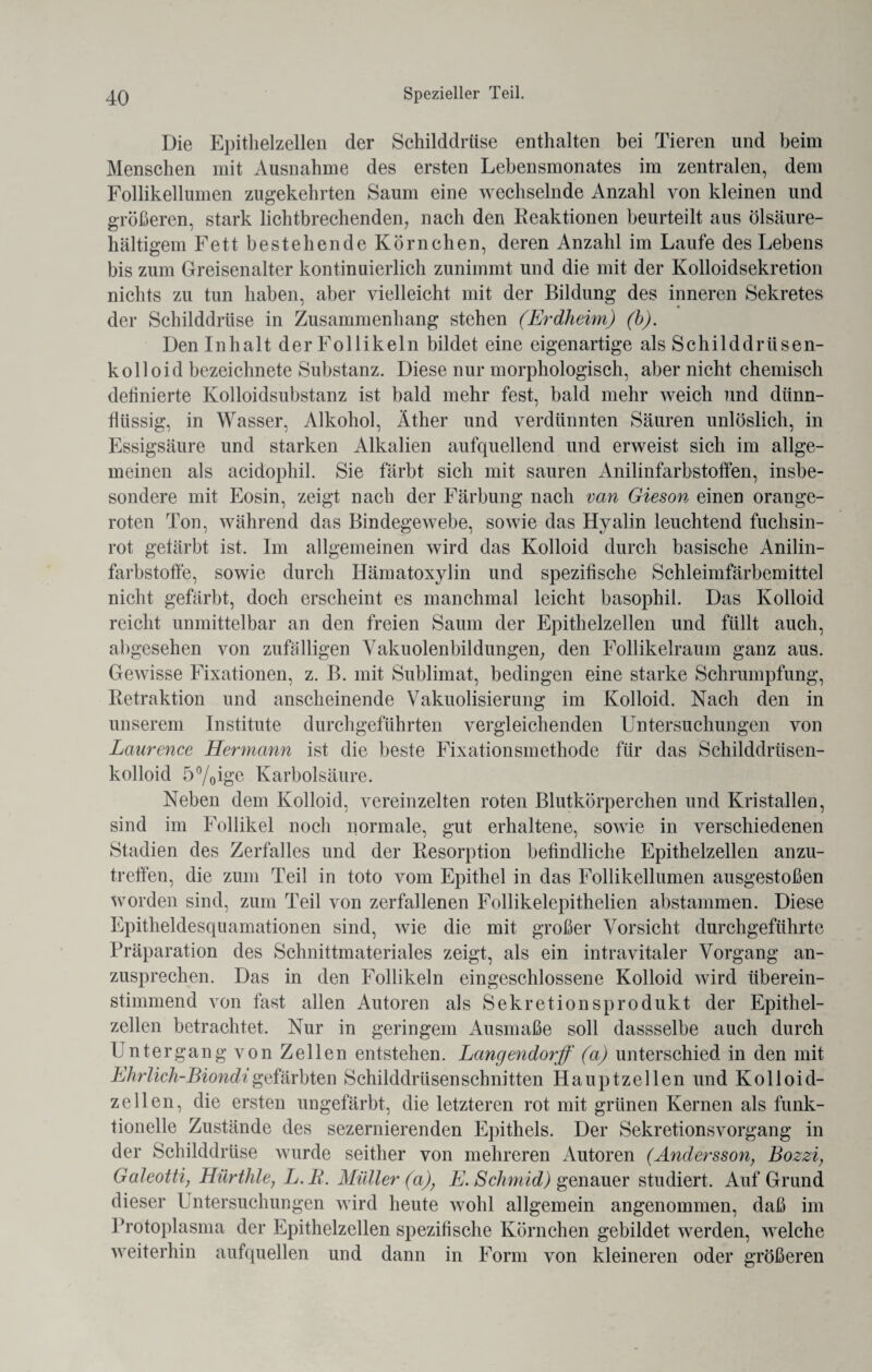 Die Epithelzellen der Schilddrüse enthalten bei Tieren und beim Menschen mit Ausnahme des ersten Lebensmonates im zentralen, dem Follikellumen zugekehrten Saum eine wechselnde Anzahl von kleinen und größeren, stark lichtbrechenden, nach den Reaktionen beurteilt aus ölsäure- hältigem Fett bestehende Körnchen, deren Anzahl im Laufe des Lebens bis zum Greisenalter kontinuierlich zunimmt und die mit der Kolloidsekretion nichts zu tun haben, aber vielleicht mit der Bildung des inneren Sekretes der Schilddrüse in Zusammenhang stehen (Erdheim) (b). Den Inhalt der Follikeln bildet eine eigenartige als Schilddrüsen¬ kolloid bezeichnete Substanz. Diese nur morphologisch, aber nicht chemisch definierte Kolloidsubstanz ist bald mehr fest, bald mehr weich und dünn¬ flüssig, in Wasser, Alkohol, Äther und verdünnten Säuren unlöslich, in Essigsäure und starken Alkalien aufquellend und erweist sich im allge¬ meinen als acidophil. Sie färbt sich mit sauren Anilinfarbstoffen, insbe¬ sondere mit Eosin, zeigt nach der Färbung nach van Gieson einen orange- roten Ton, während das Bindegewebe, sowie das Hyalin leuchtend fuchsin¬ rot gefärbt ist. Im allgemeinen wird das Kolloid durch basische Anilin¬ farbstoffe, sowie durch Hämatoxylin und spezifische Schleimfärbemittel nicht gefärbt, doch erscheint es manchmal leicht basophil. Das Kolloid reicht unmittelbar an den freien Saum der Epithelzellen und füllt auch, abgesehen von zufälligen Vakuolenbildungen, den Follikelraum ganz aus. Gewisse Fixationen, z. B. mit Sublimat, bedingen eine starke Schrumpfung, Retraktion und anscheinende Vakuolisierung im Kolloid. Nach den in unserem Institute durchgeführten vergleichenden Untersuchungen von Laurence Hermann ist die beste Fixationsmethode für das Schilddrüsen¬ kolloid 5%ige Karbolsäure. Neben dem Kolloid, vereinzelten roten Blutkörperchen und Kristallen, sind im Follikel noch normale, gut erhaltene, sowie in verschiedenen Stadien des Zerfalles und der Resorption befindliche Epithelzellen anzu¬ treffen, die zum Teil in toto vom Epithel in das Follikellumen ausgestoßen worden sind, zum Teil von zerfallenen Follikelepithelien abstammen. Diese Epitheldesquamationen sind, wie die mit großer Vorsicht durchgeführte Präparation des Schnittmateriales zeigt, als ein intravitaler Vorgang an¬ zusprechen. Das in den Follikeln eingeschlossene Kolloid wird überein¬ stimmend von fast allen Autoren als Sekretionsprodukt der Epithel¬ zellen betrachtet. Nur in geringem Ausmaße soll dassselbe auch durch Untergang von Zellen entstehen. Langendorff (a) unterschied in den mit Ehrlich-Biondigefärbten Schilddrüsenschnitten Hauptzellen und Kolloid¬ zellen, die ersten ungefärbt, die letzteren rot mit grünen Kernen als funk¬ tionelle Zustände des sezernierenden Epithels. Der Sekretions Vorgang in der Schilddrüse wurde seither von mehreren Autoren (Andersson, Bozzi, Galeotti, Hürthle, L.B. Müller (a), E. ScJimid) genauer studiert. Auf Grund dieser Untersuchungen wird heute wohl allgemein angenommen, daß im Protoplasma der Epithelzellen spezifische Körnchen gebildet werden, welche weiterhin aufquellen und dann in Form von kleineren oder größeren